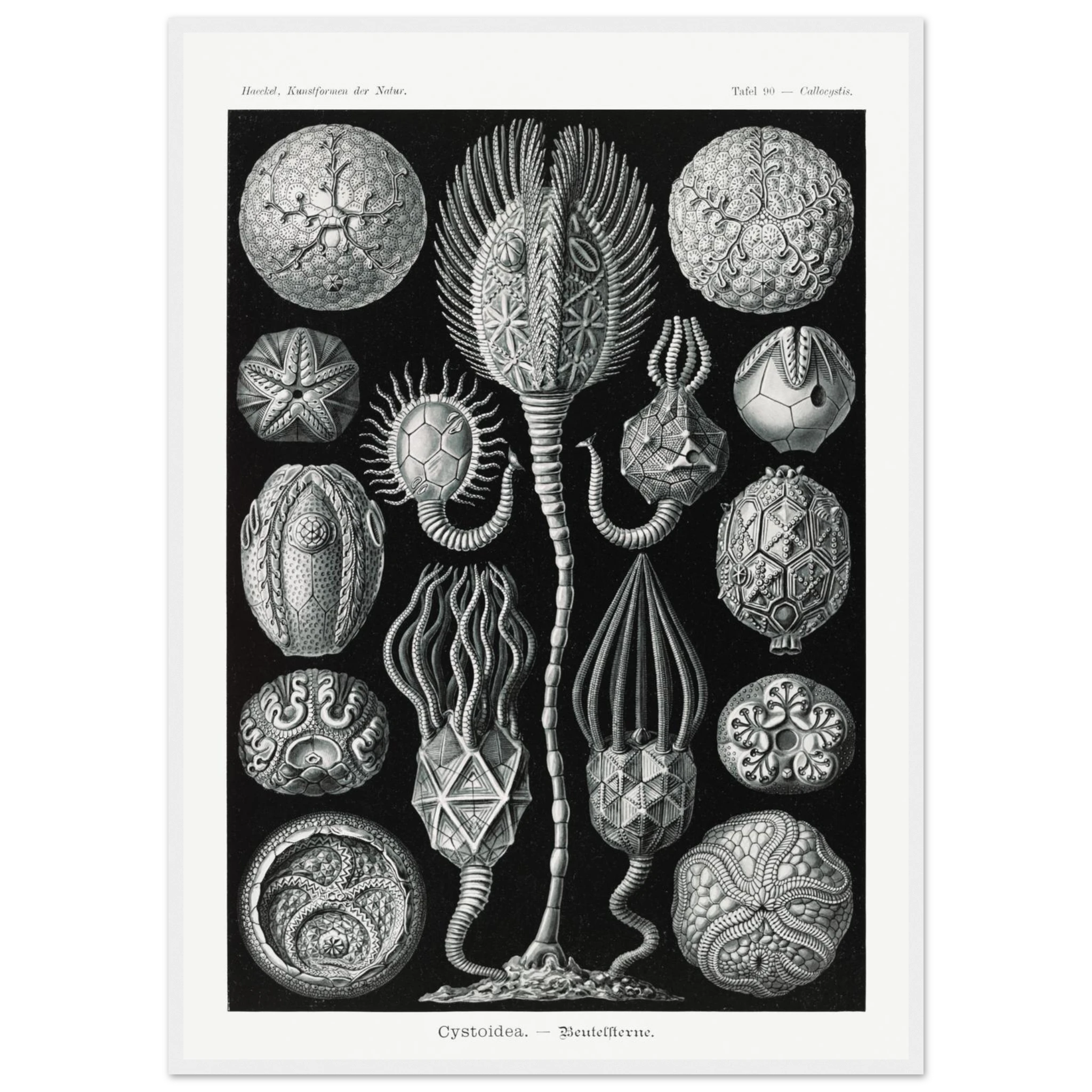 139d95dd-ed1c-4b92-9e15-8419065e7bd1