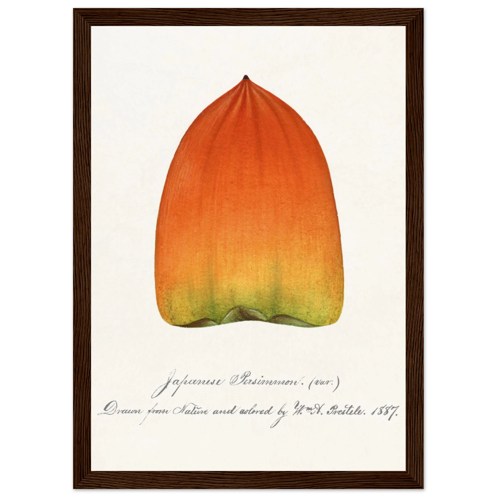 13a57c46-3025-4f21-bb8b-976c4b347206