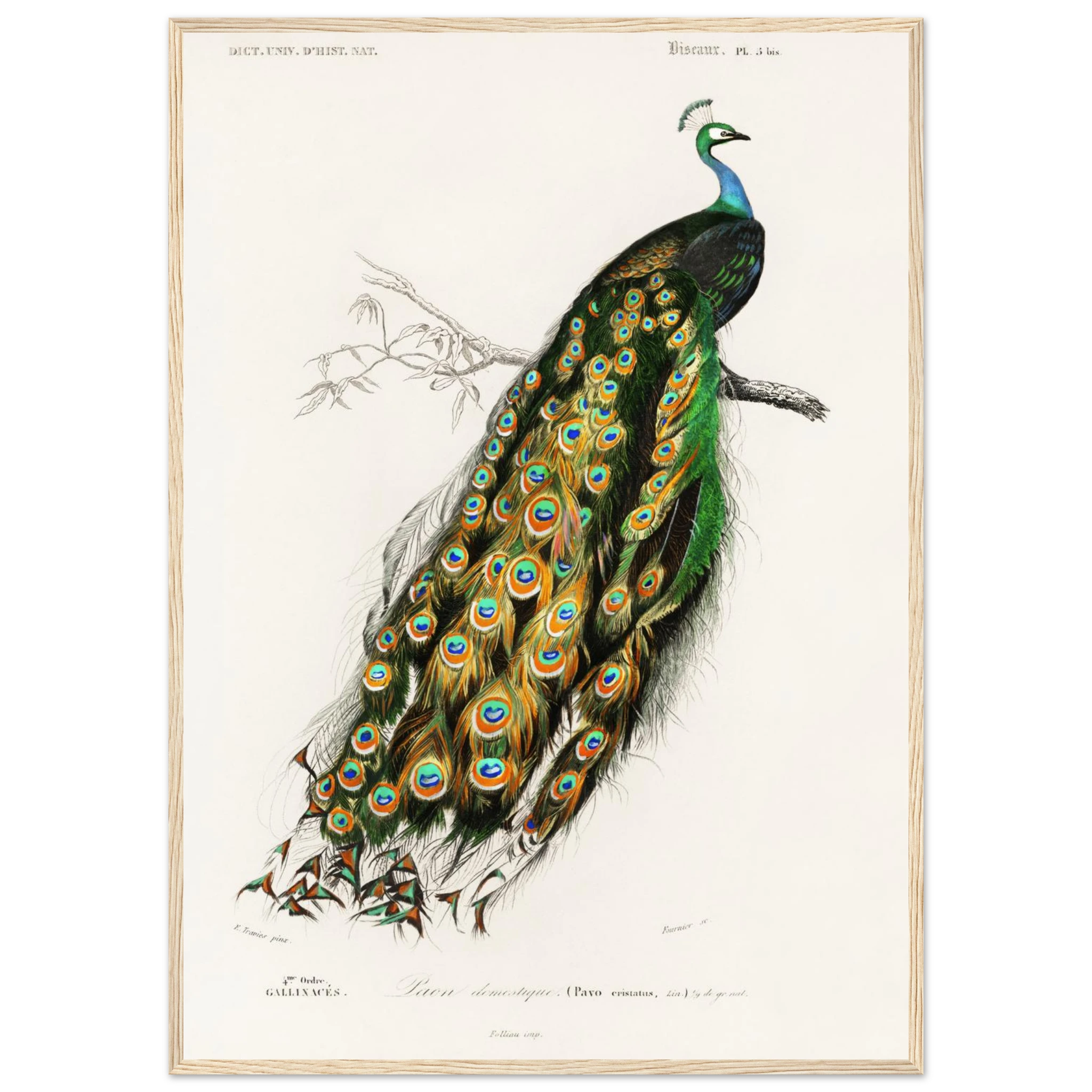 13c114ee-71bd-4a19-85a4-0cc2348bf863