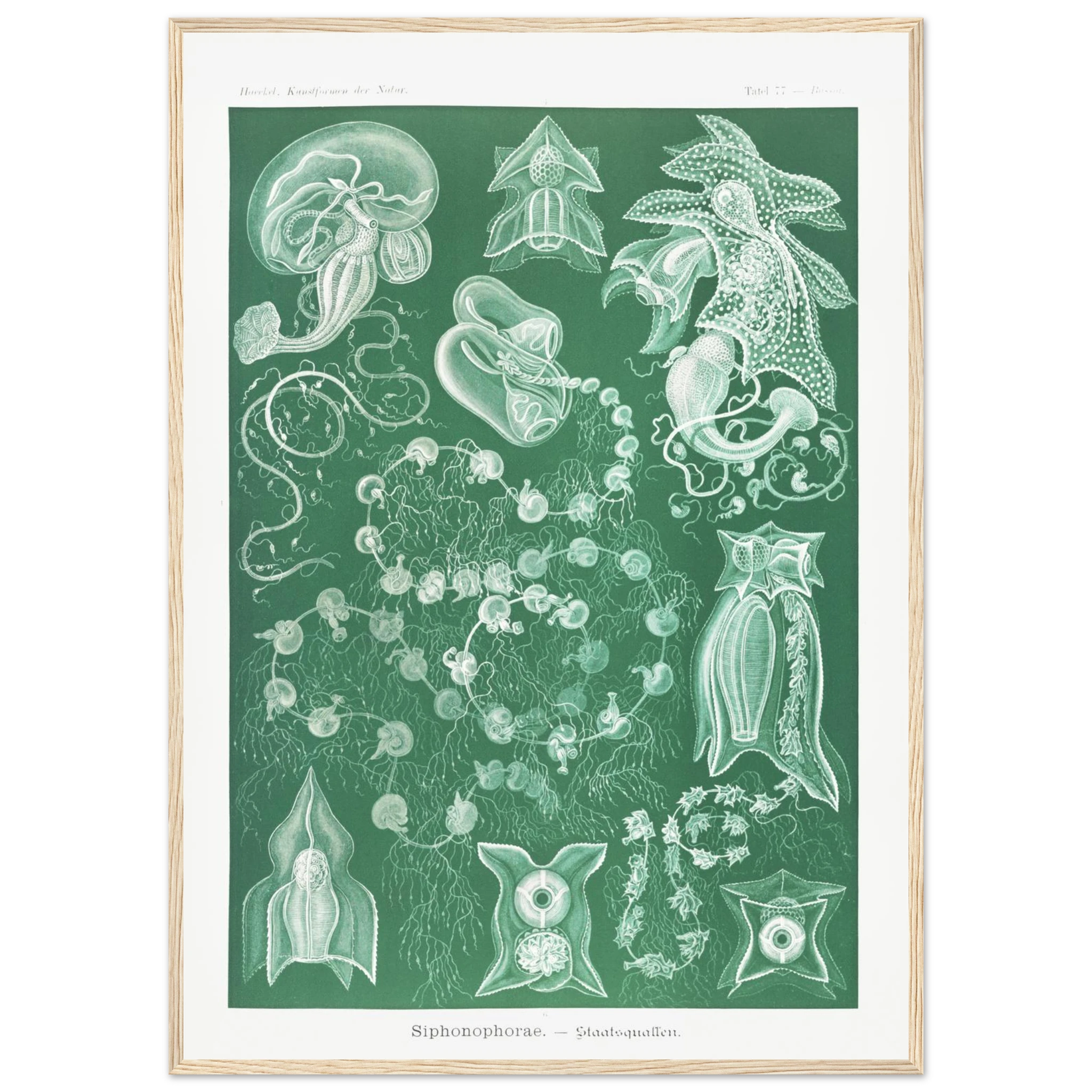 13edaaa6-006e-4175-bfde-0b50646a8732