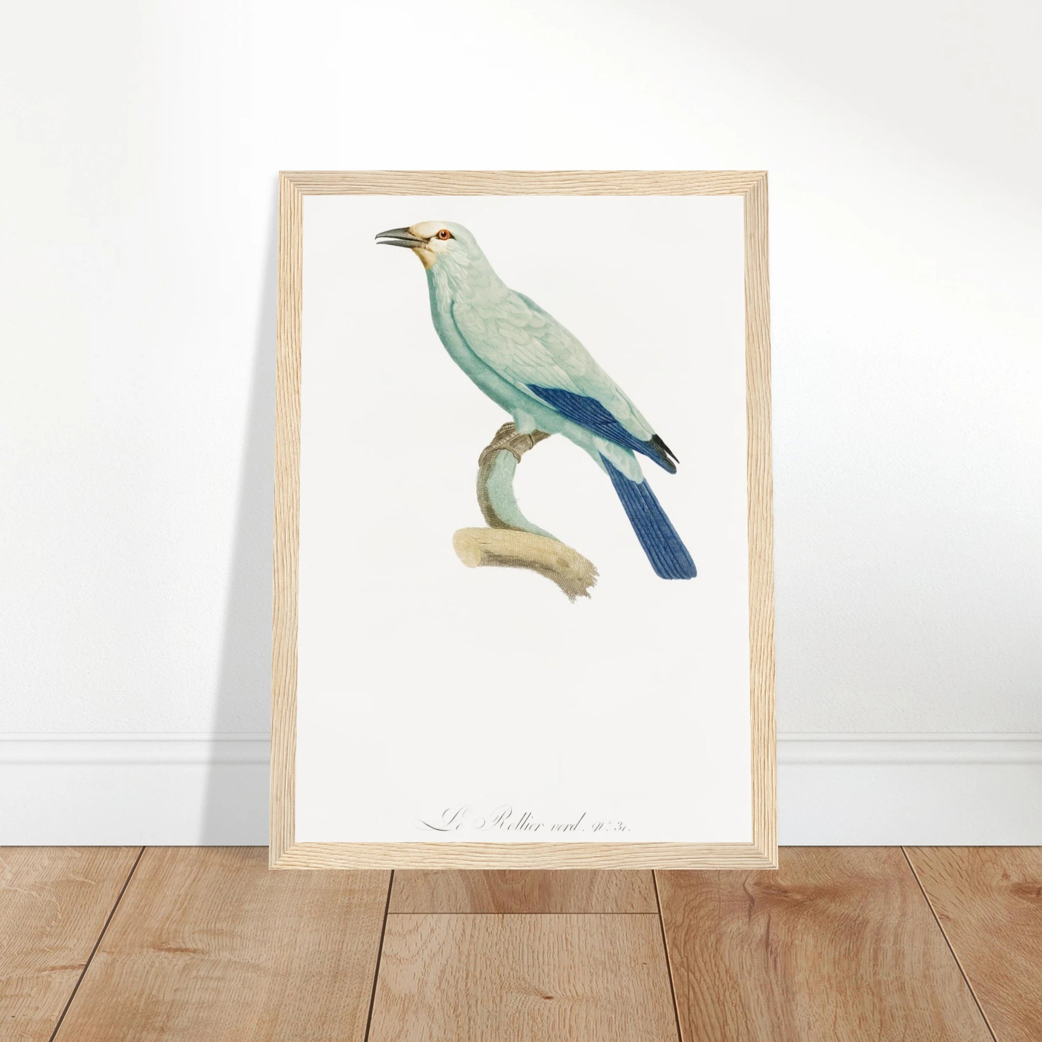 13fa9e01-cffa-4335-bbd0-e19b80bf2314