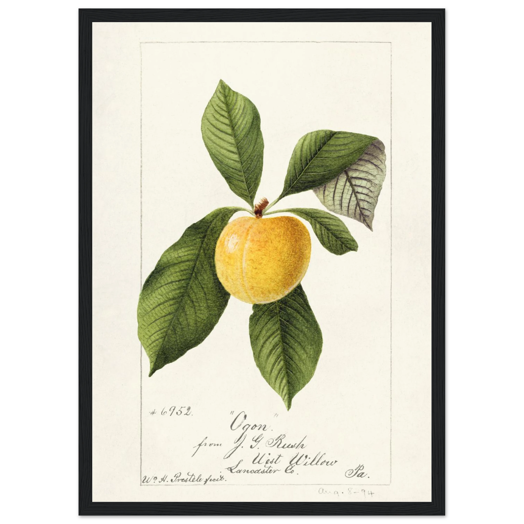 13fadd8a-a594-44ed-8829-760e11283ed1