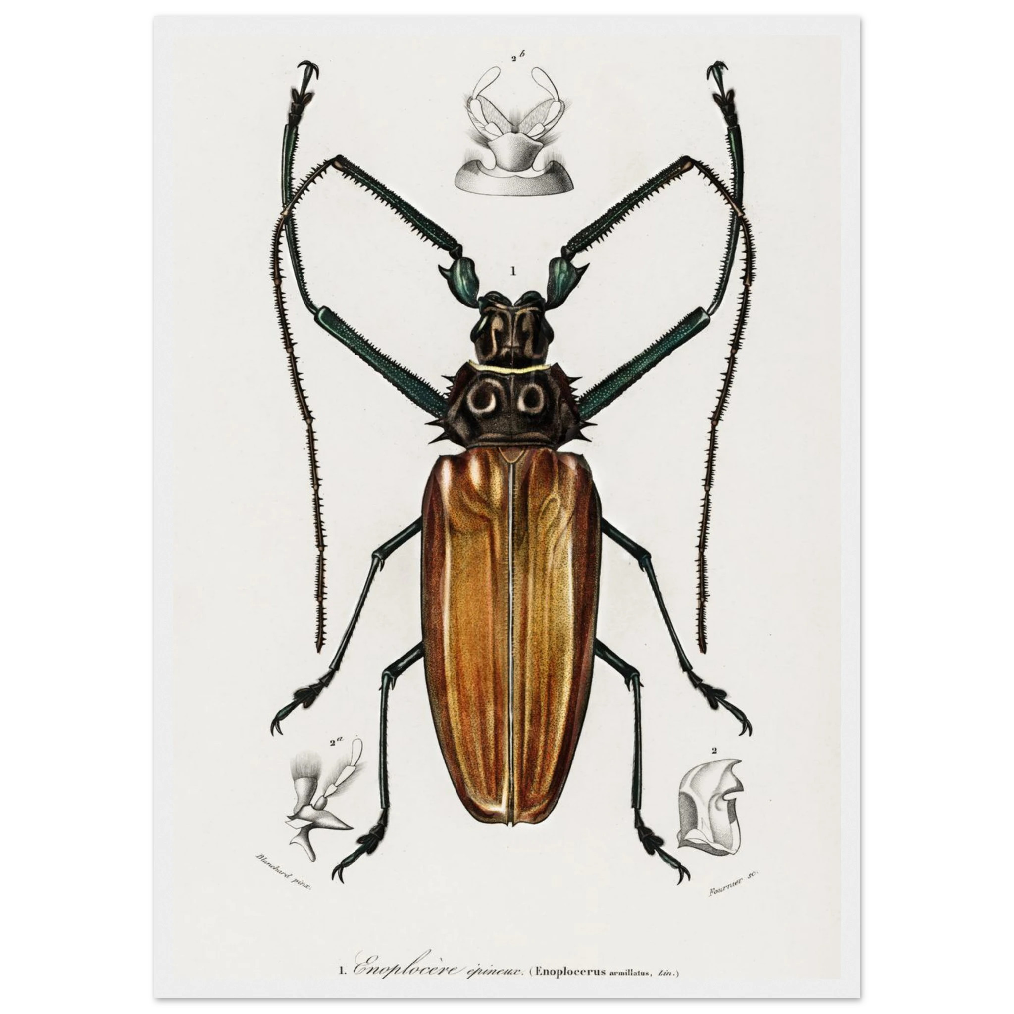 1402de03-6850-4f87-8898-a1b13febee12