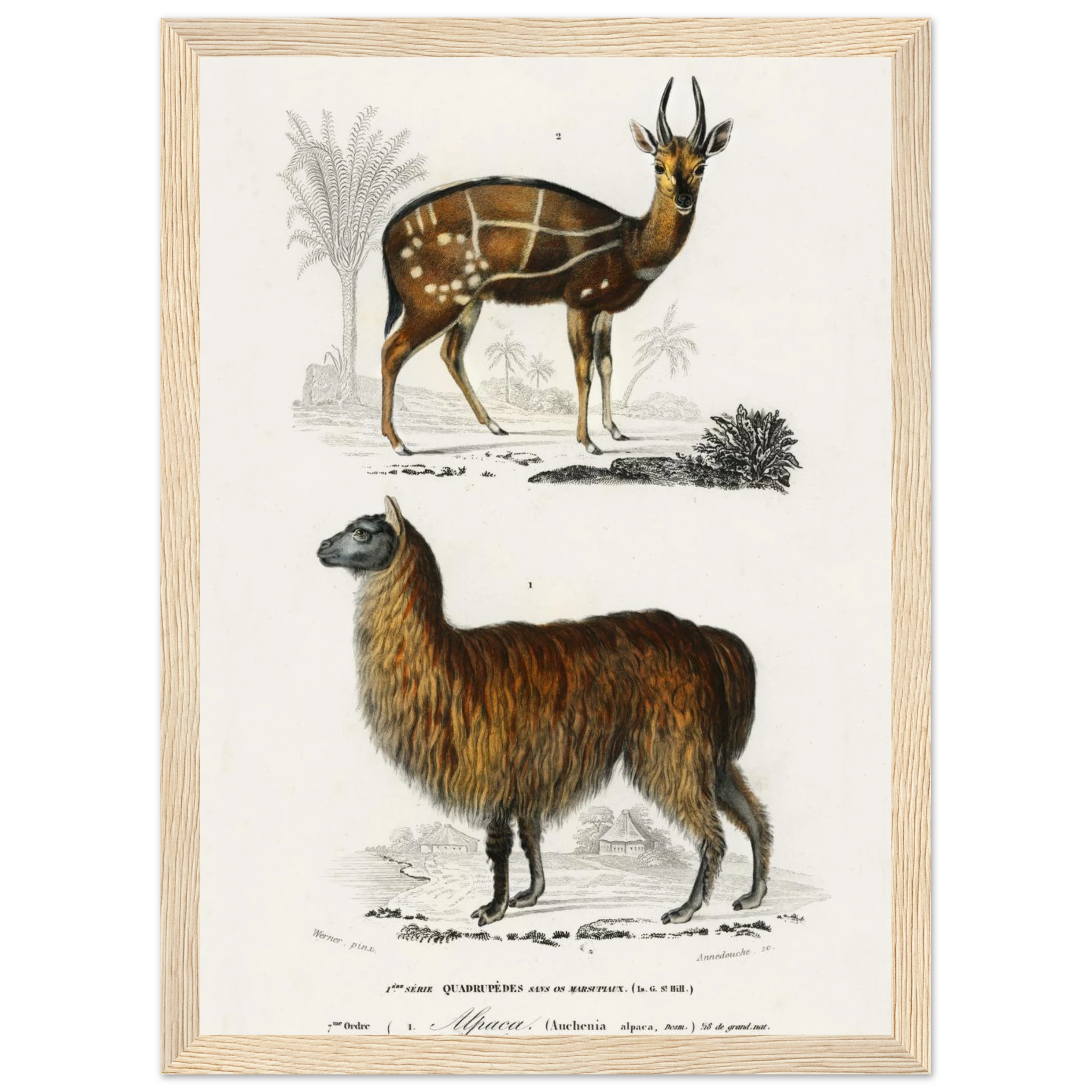 1432fa9e-81c6-4546-9052-9dc66f65a7f5