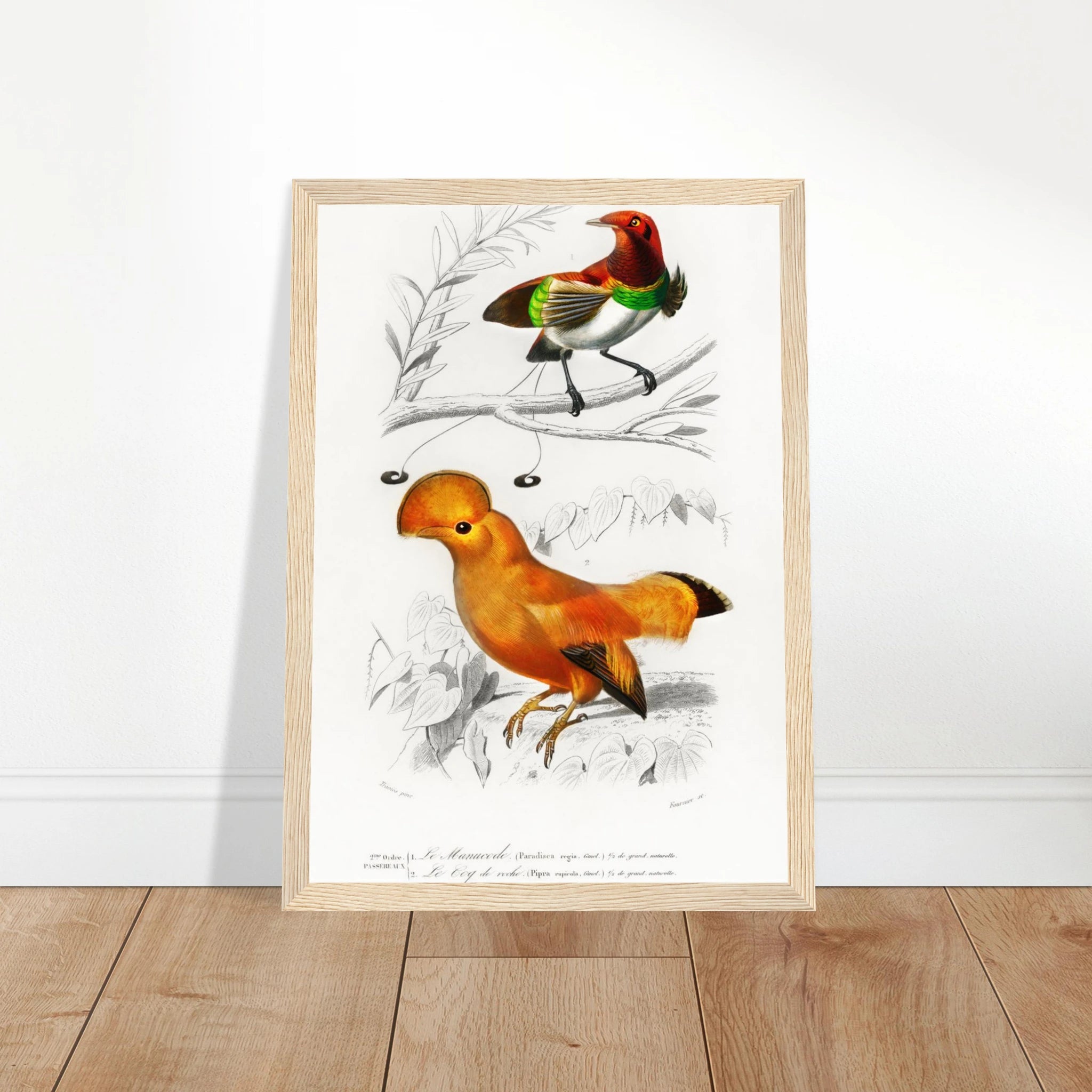 149bd65c-9a00-46ce-b0c9-153dfaa1bbb2