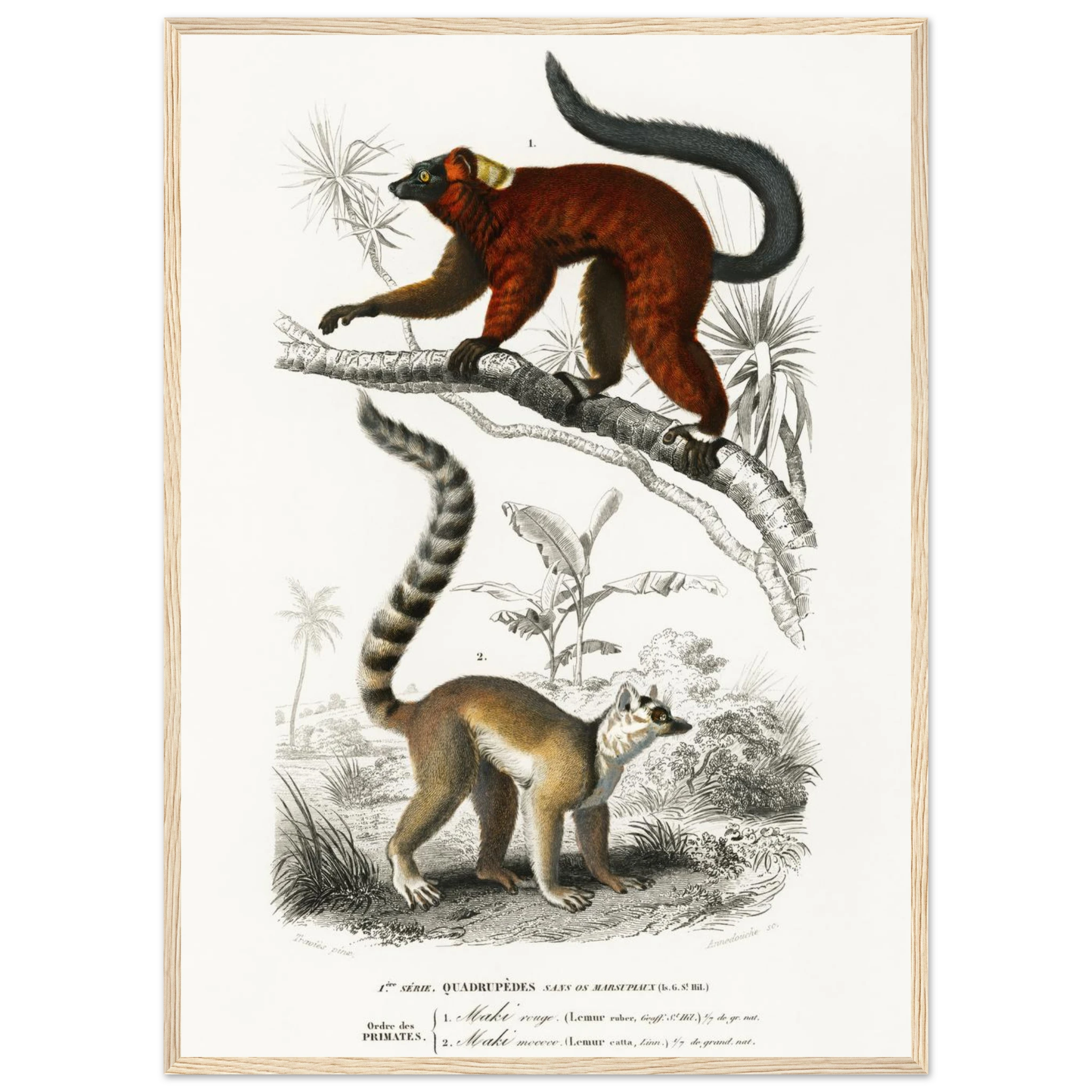 14c3bad4-8999-47c8-b8eb-3f98587ddf44