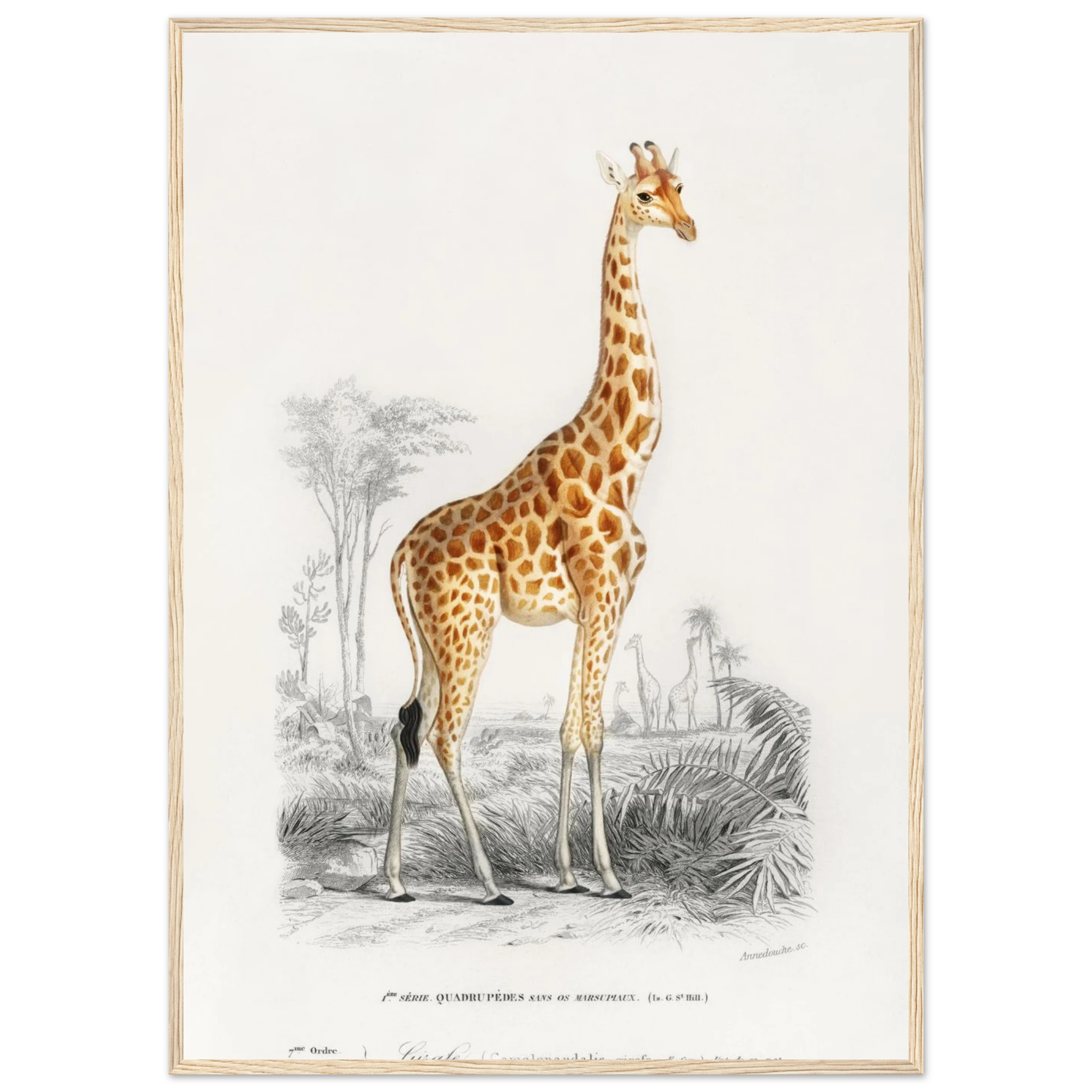 14ce84f9-e454-4754-9a31-c7bb40b5c884