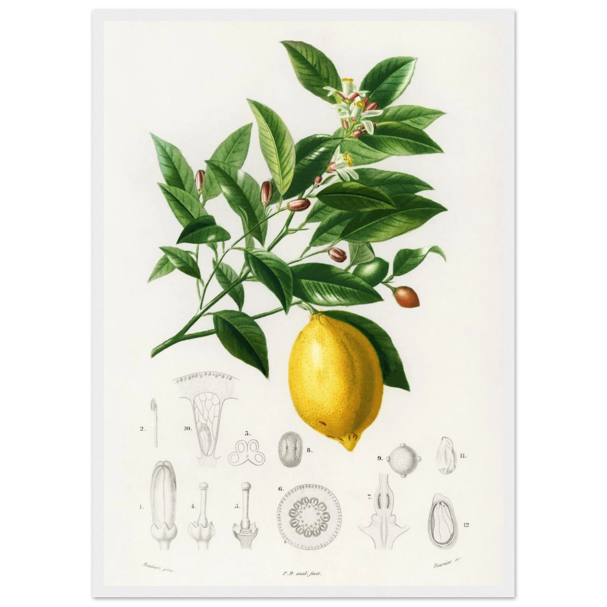 157bbe13-9bdd-409a-9aa0-c8ed9af27bd5