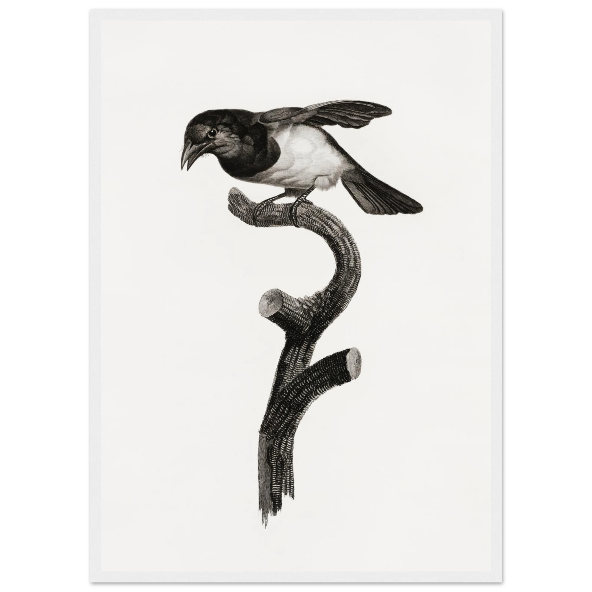 158e0c8d-8544-4878-85ac-1eaeb6f77643