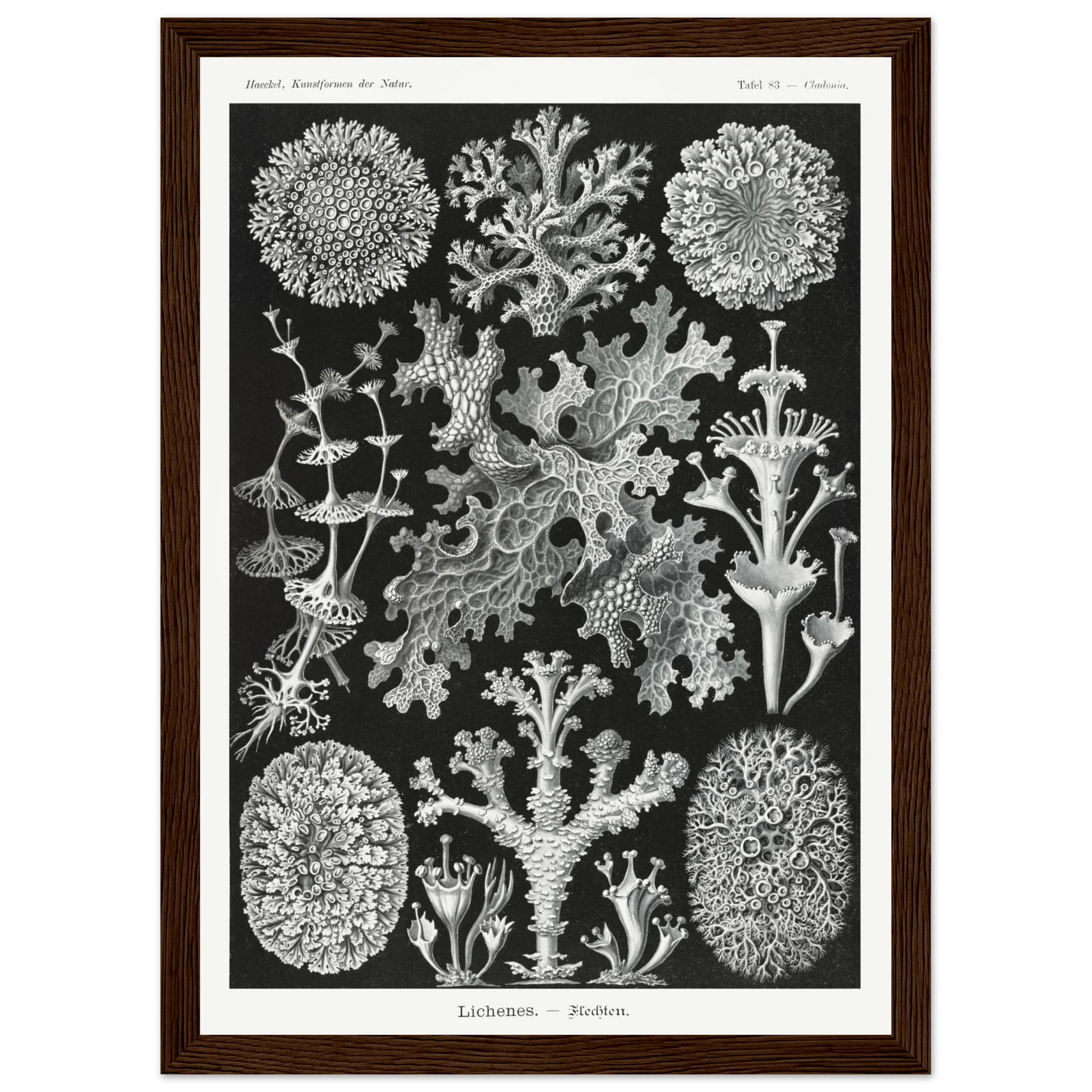 15910891-3938-4772-bb71-ffcbfdc1a893