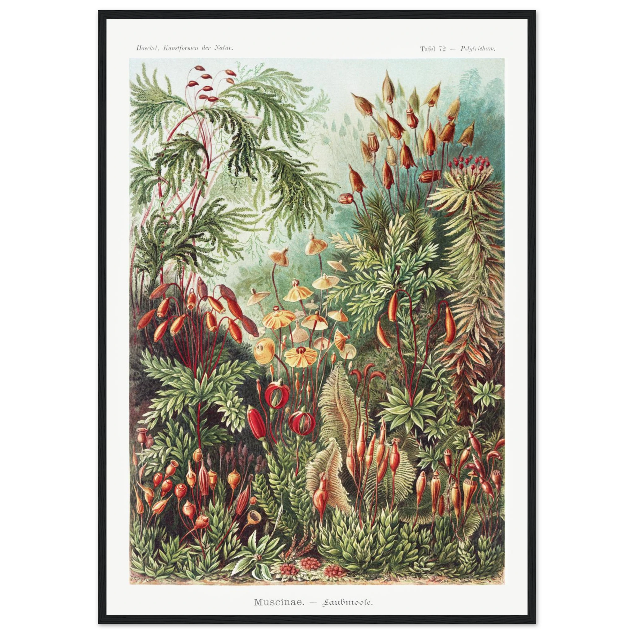 15981966-1d63-44fa-b762-b8395e01acb5