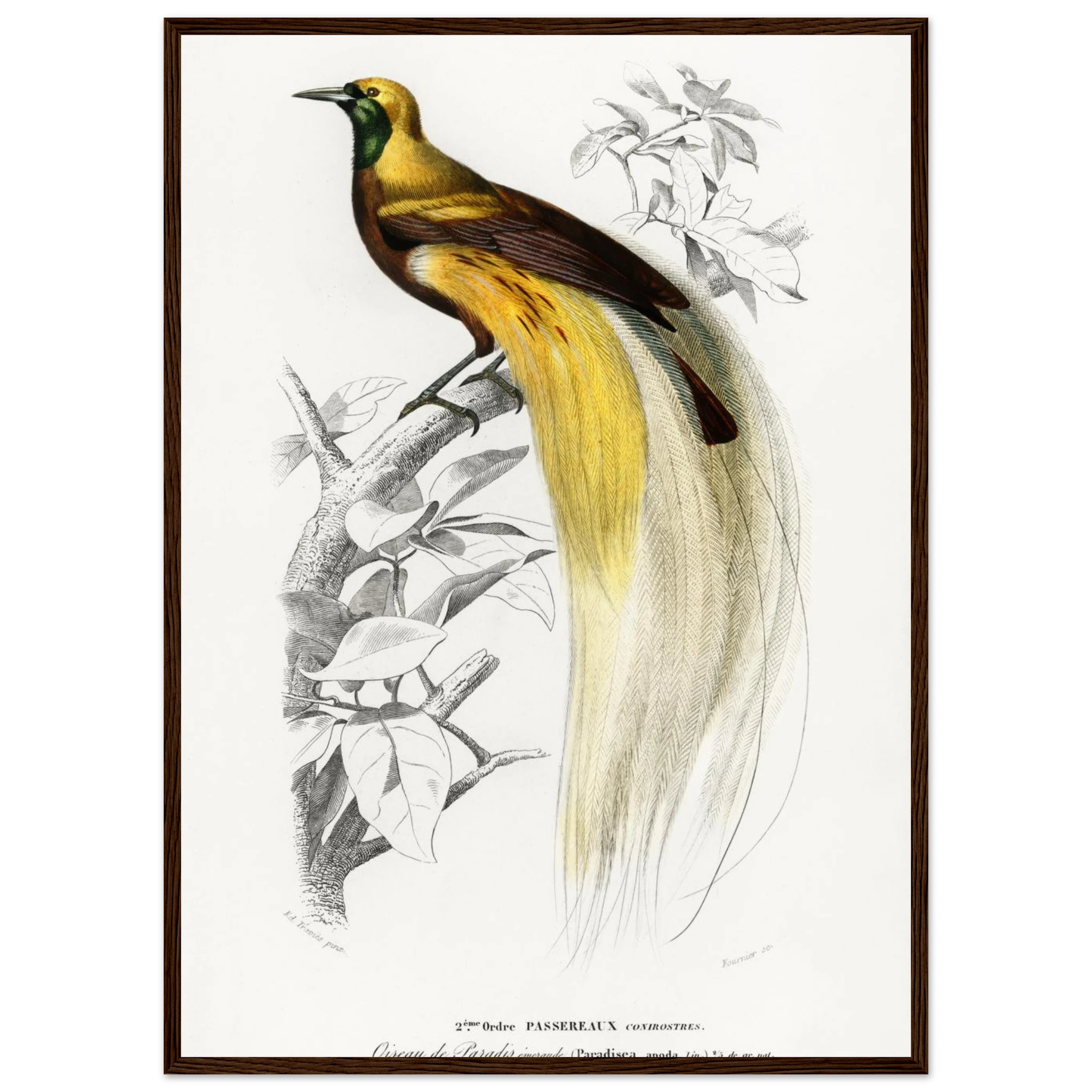 160e9bd7-5c80-4a89-a5a5-231cc86ed00d