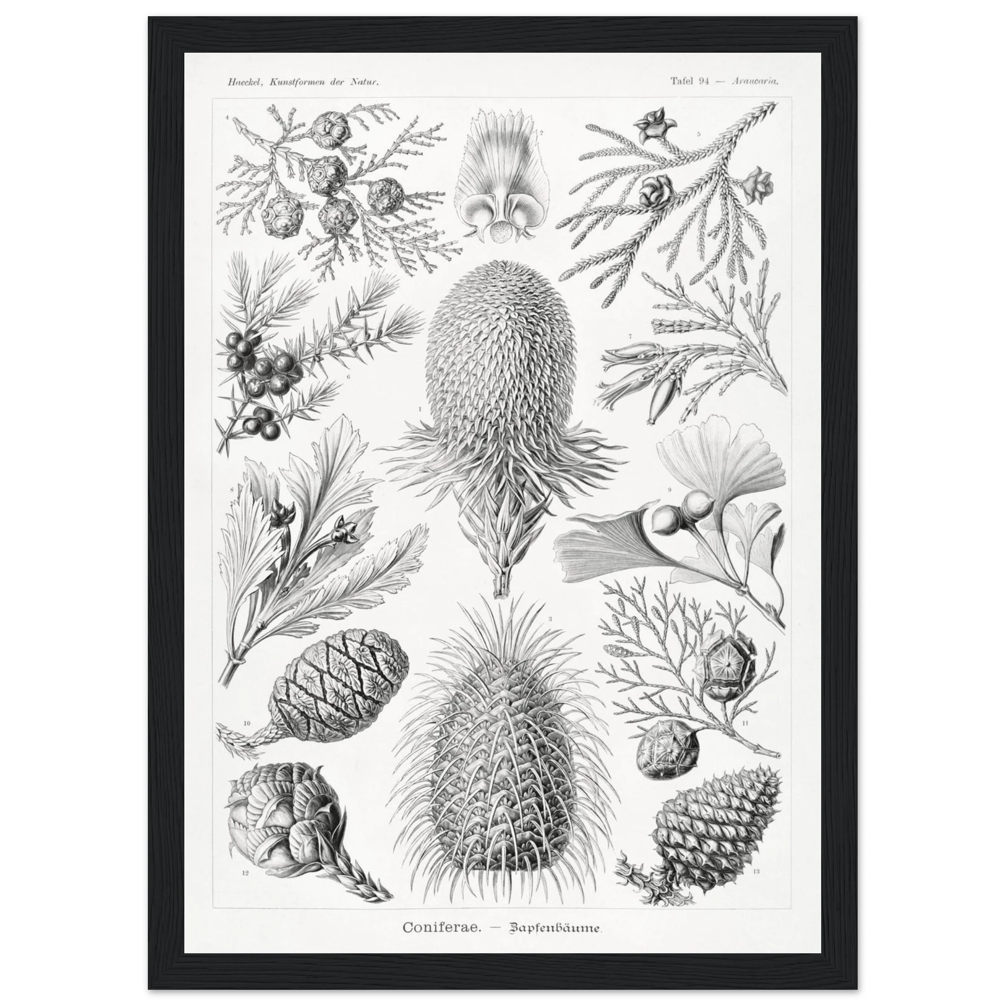 168aad8b-2375-45e5-ba80-f2e5a5ab11ec