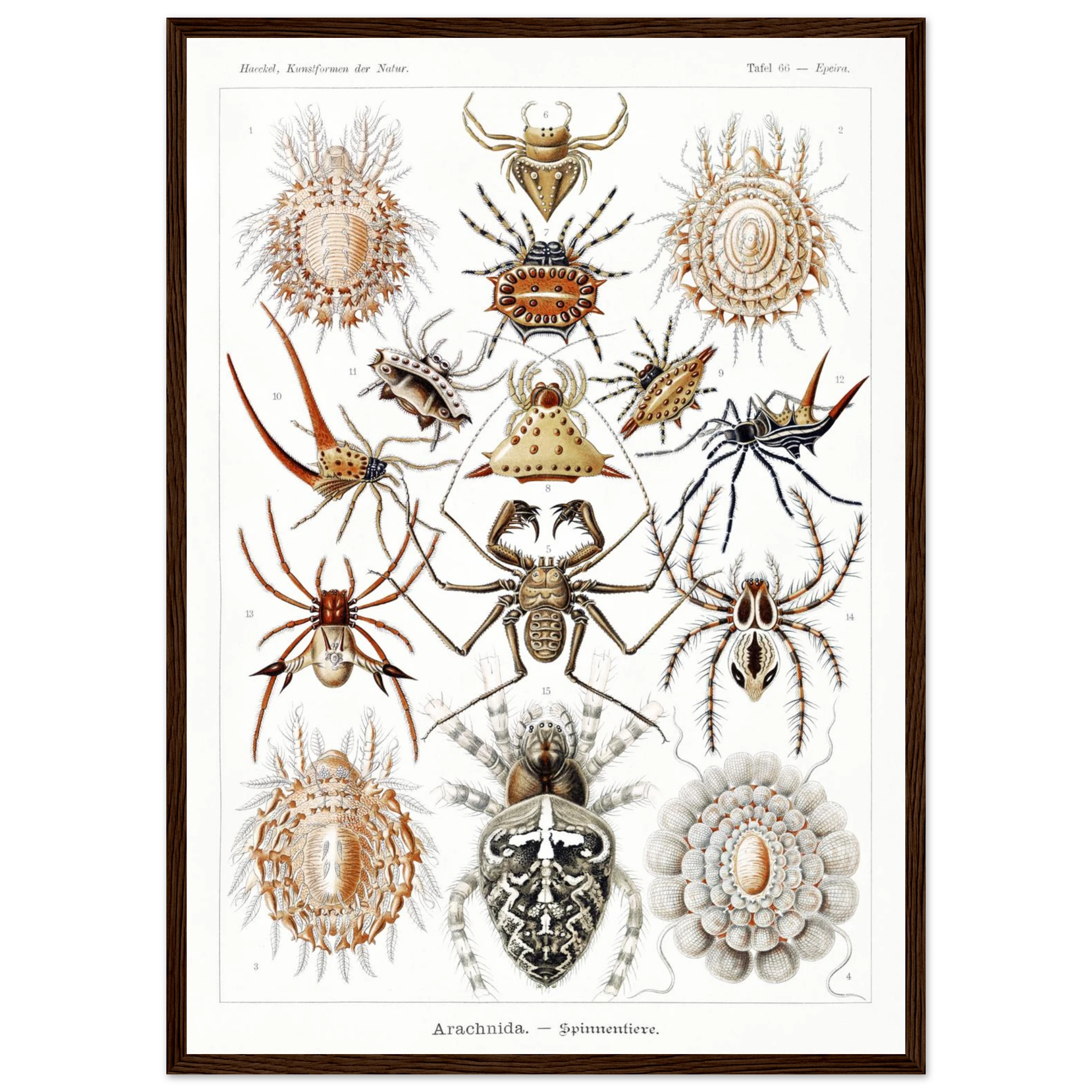 1697f2d0-a941-41a2-9f7d-8cbaeb817485