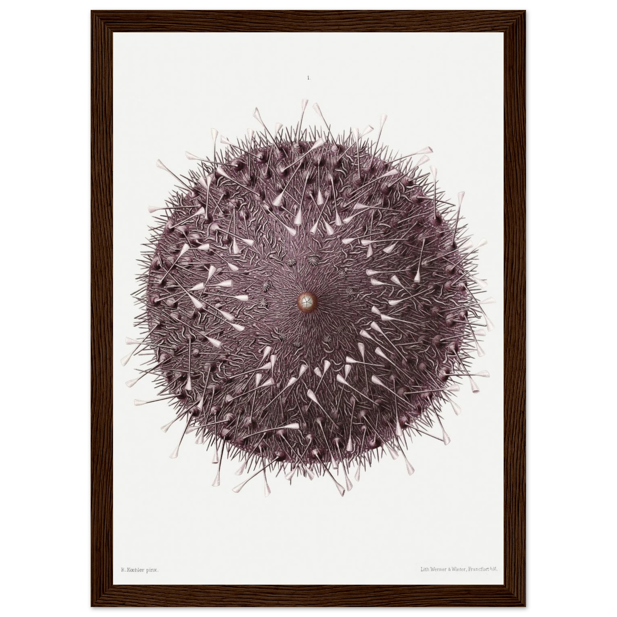 16d31305-27b9-4657-a4f6-f81c0ce24bb5