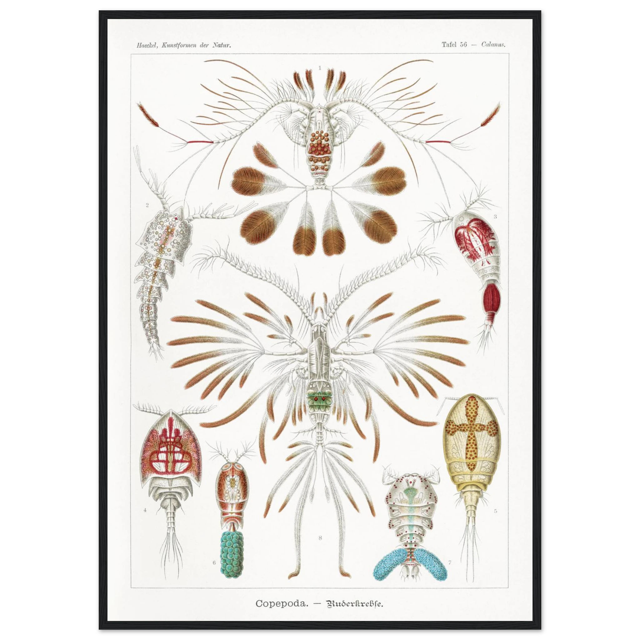 16f11a35-1045-41a3-a29e-3a24bb2bb579