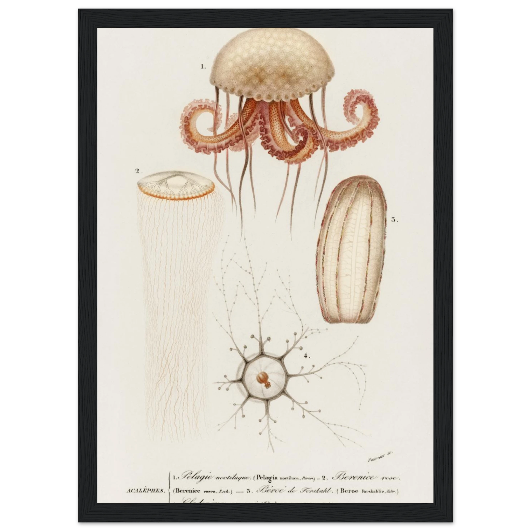 172ff0cf-4a1f-4d1d-b460-6035e4506711