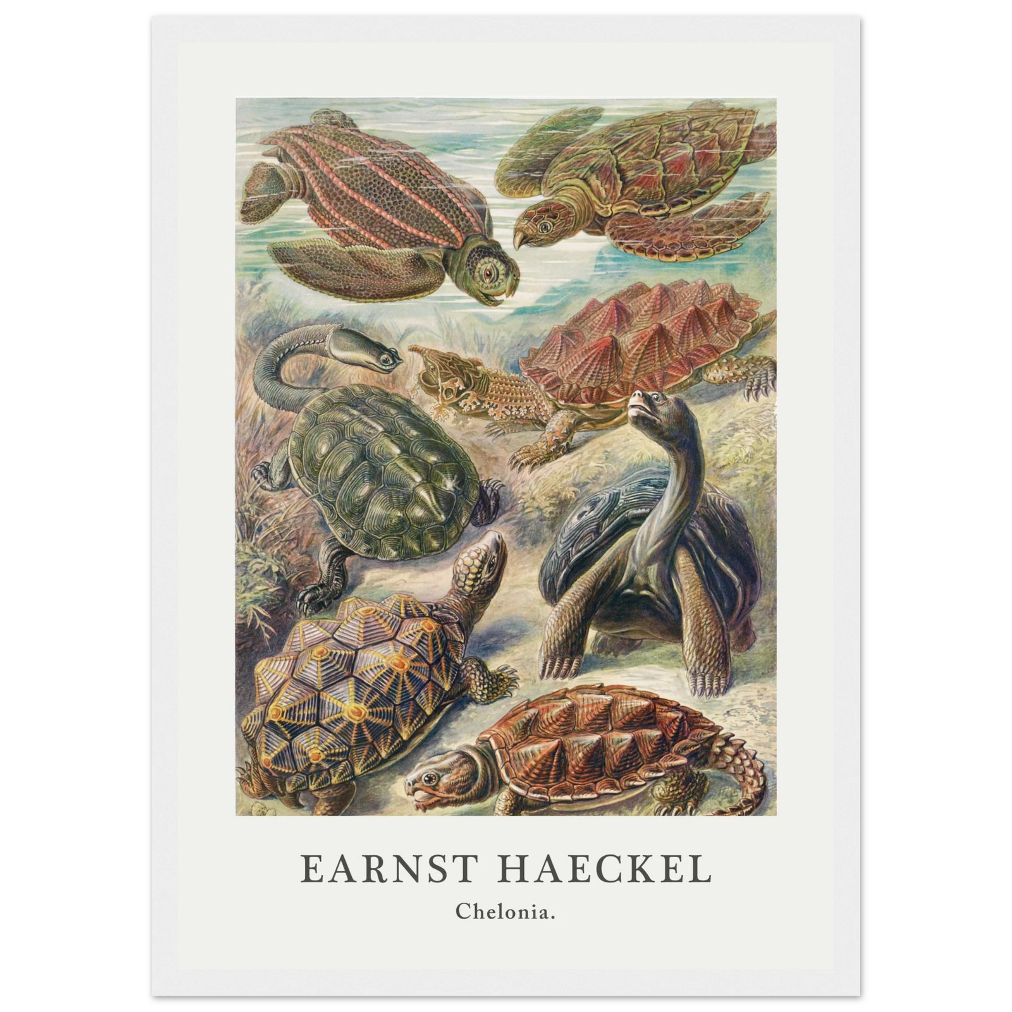 174d503c-6d8f-4d59-883c-e111e8cd8376