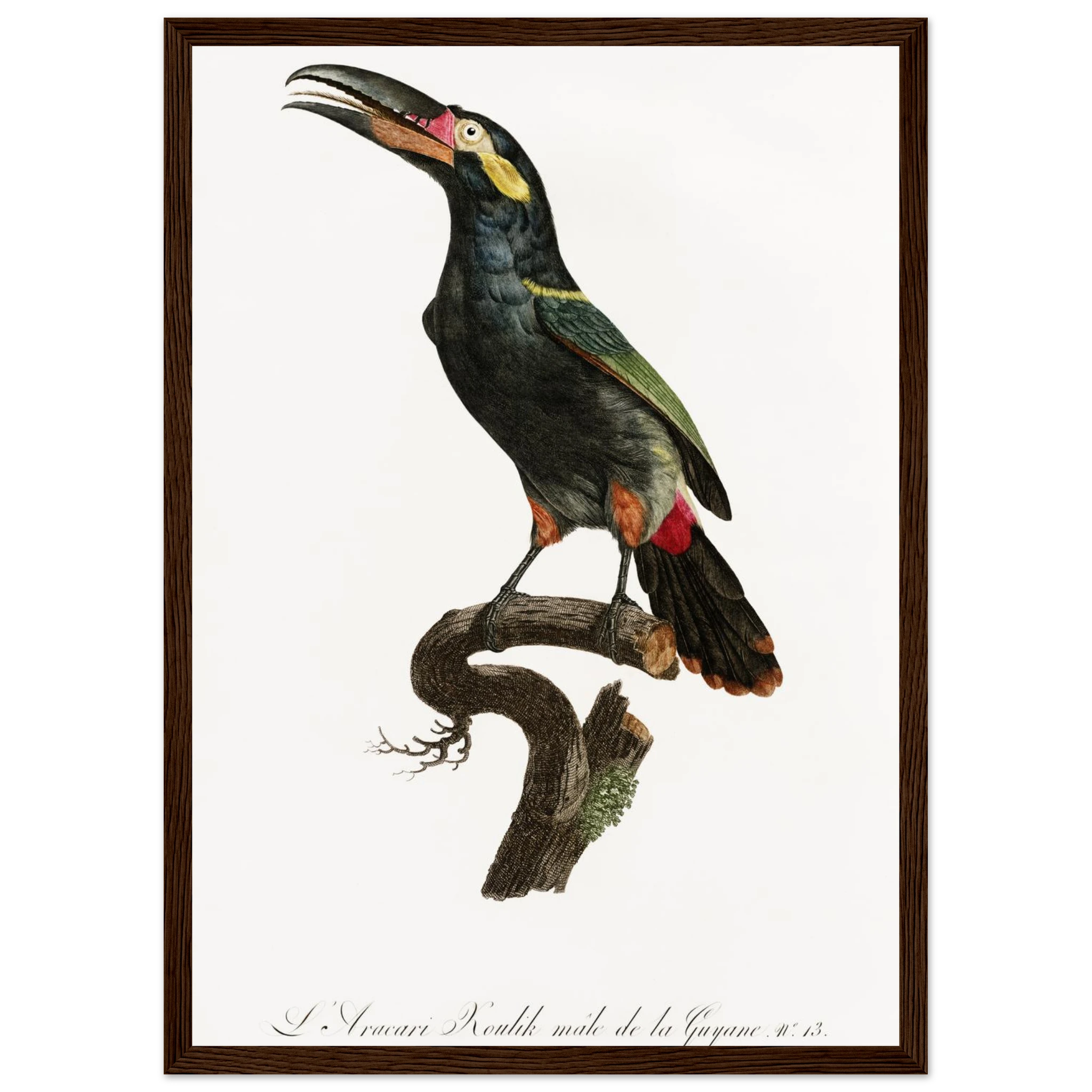 175bde1a-c64e-4cc3-875b-46b75abd52d1