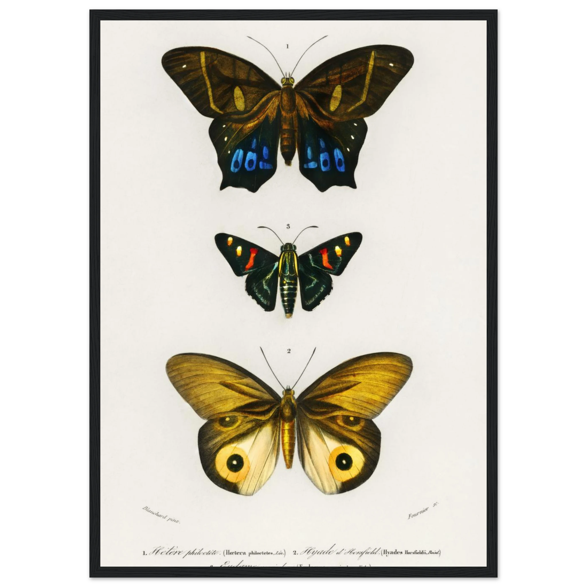 17861afc-195c-41db-a31d-0f5395992ea2