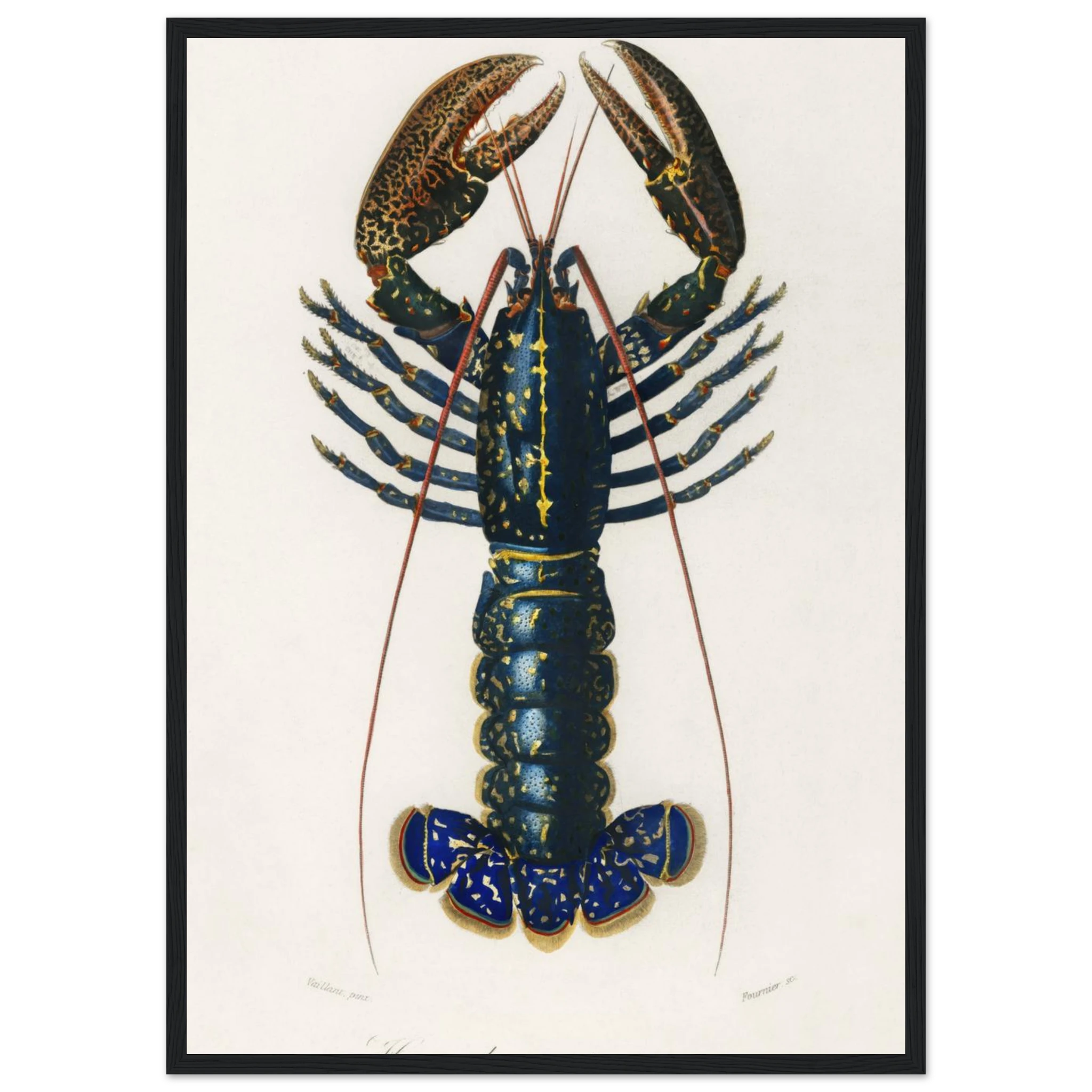 17b7309c-6b49-4763-8f38-9969fdc58766