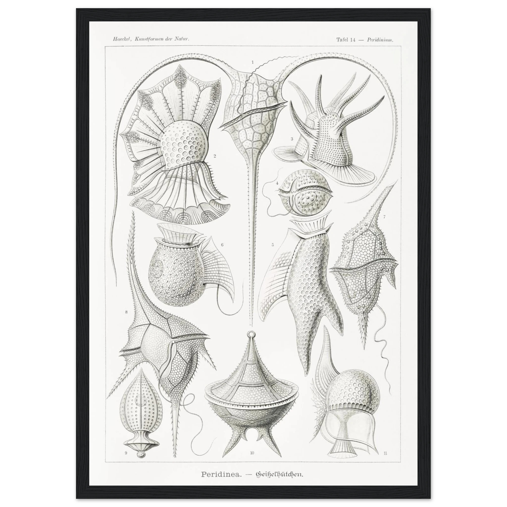 17c765d7-e34b-46c9-9afd-c16445c51eb5