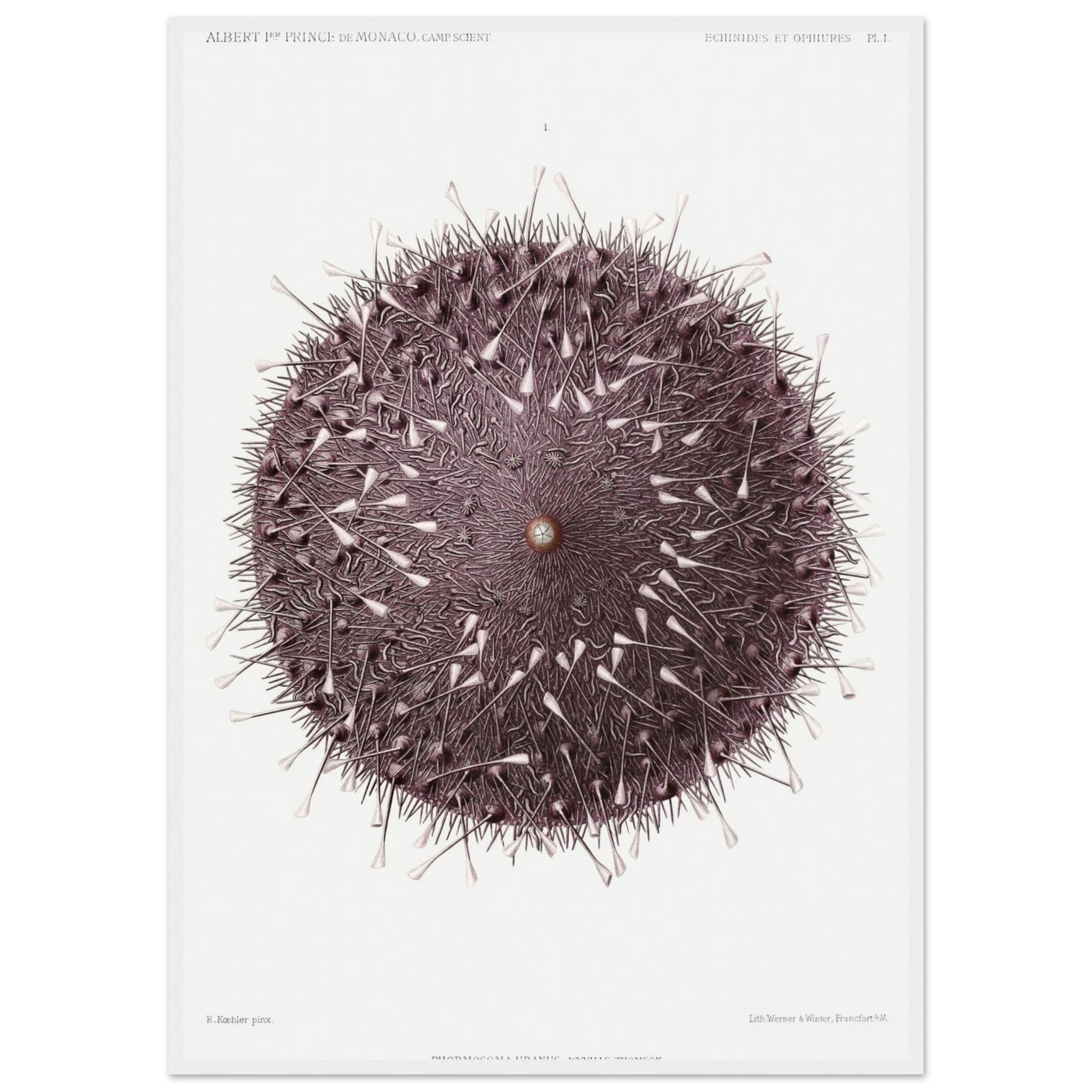 17e42236-a7e0-4620-8988-40e1c4e95fd0