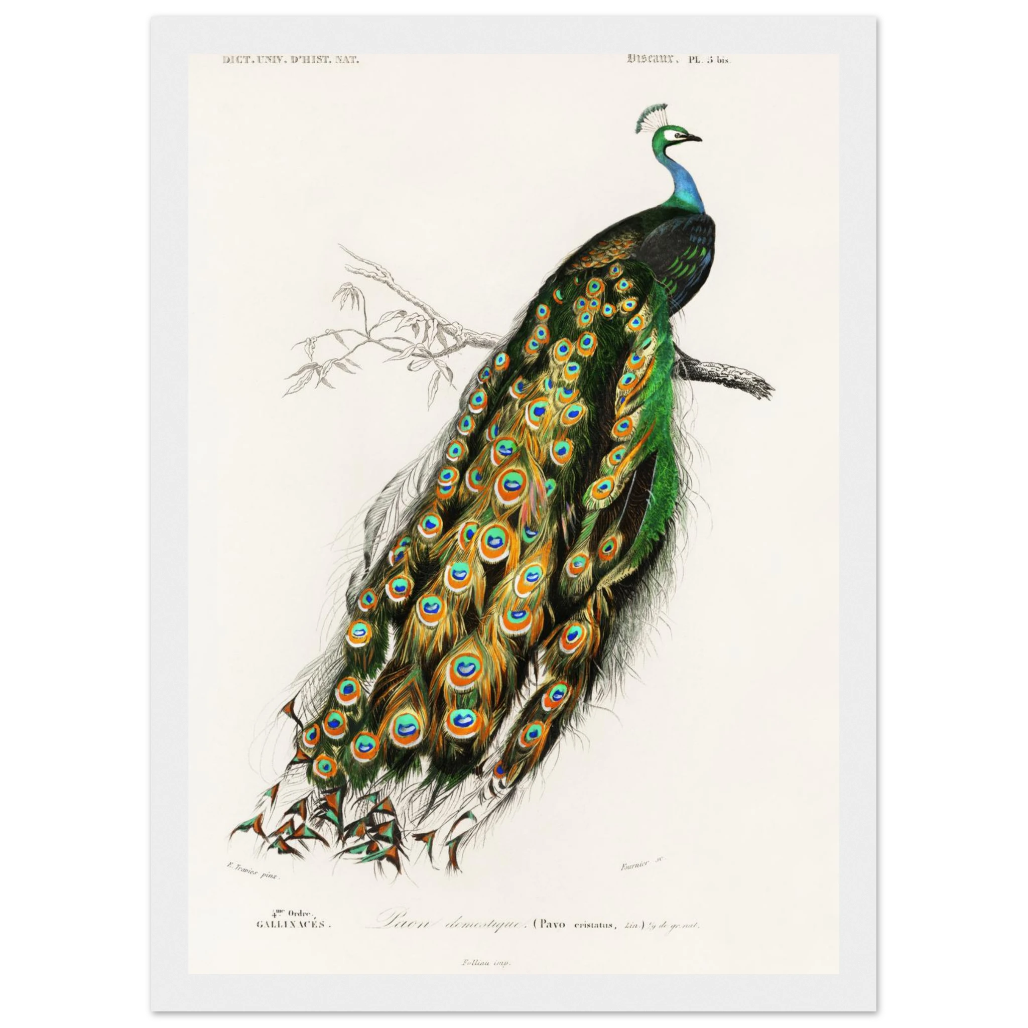 17ed277e-ea86-460f-ab31-73e84ac45ea9