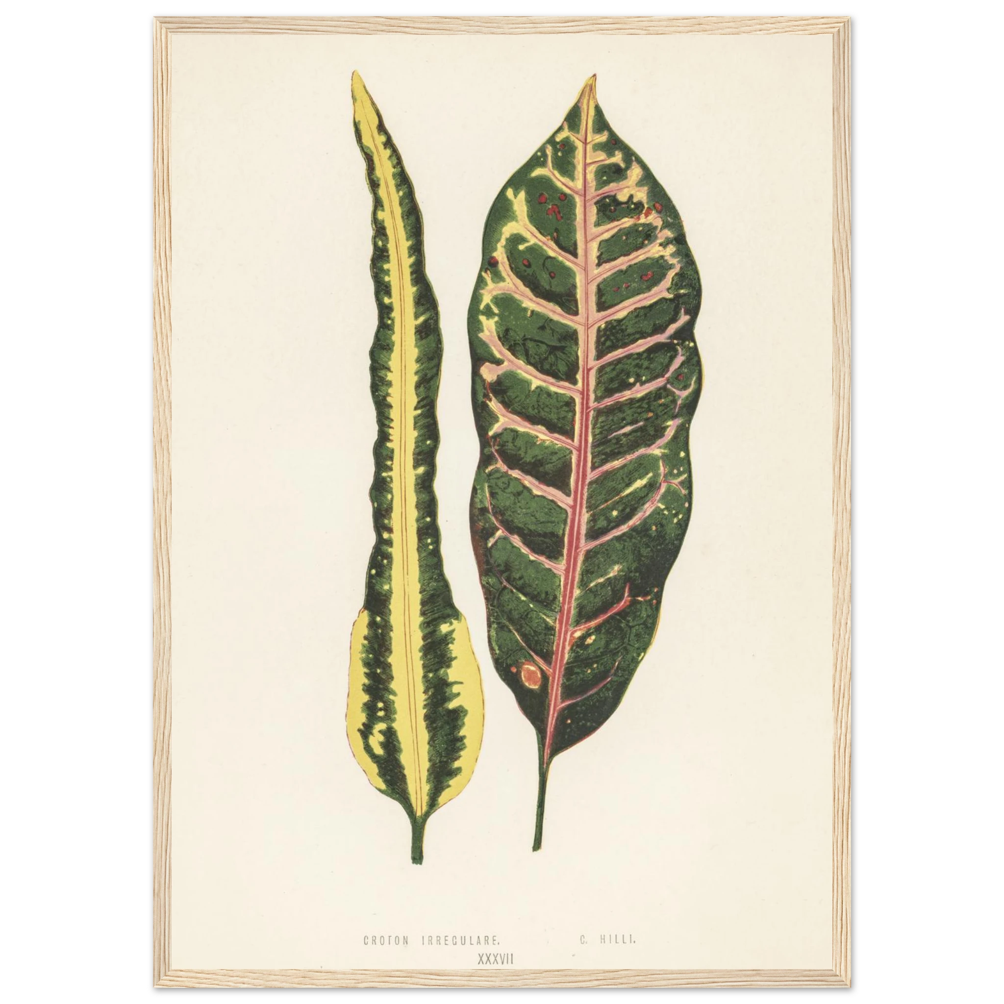 17f55b1c-06e5-488f-882c-08aad1d77c15