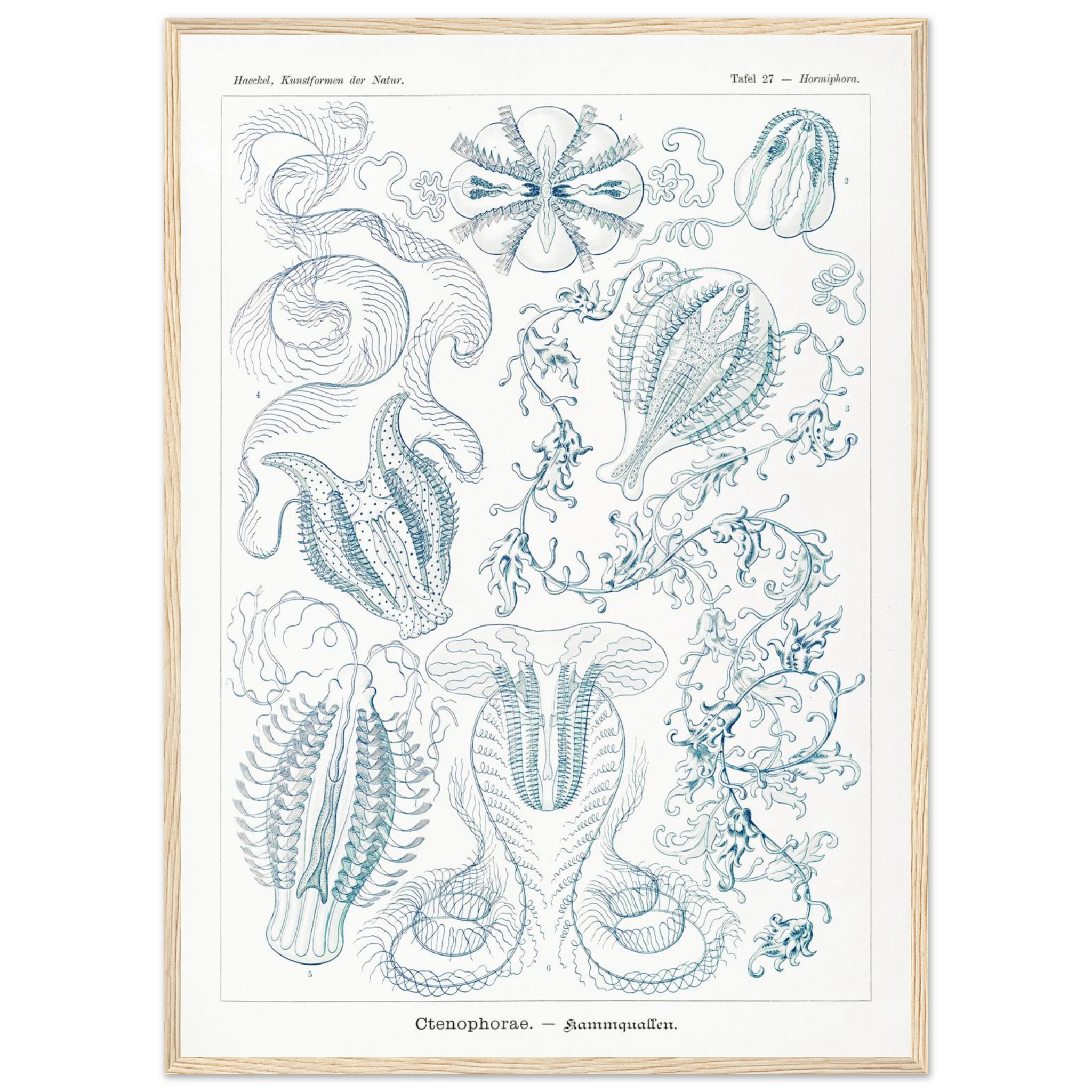 184d723e-2161-4c4a-94c5-830e4ac9db04