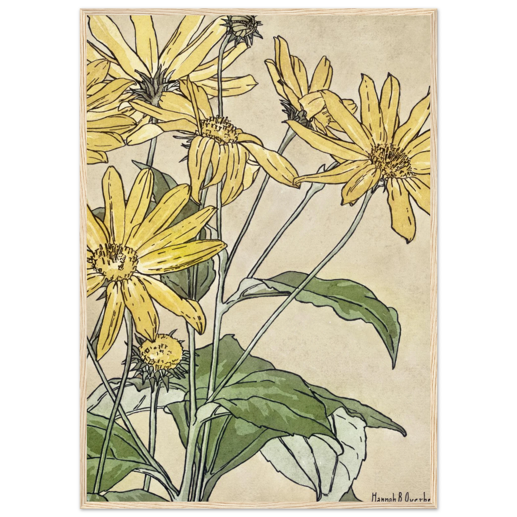 187f1ccd-f250-41fd-aa61-f3b630dd9df8