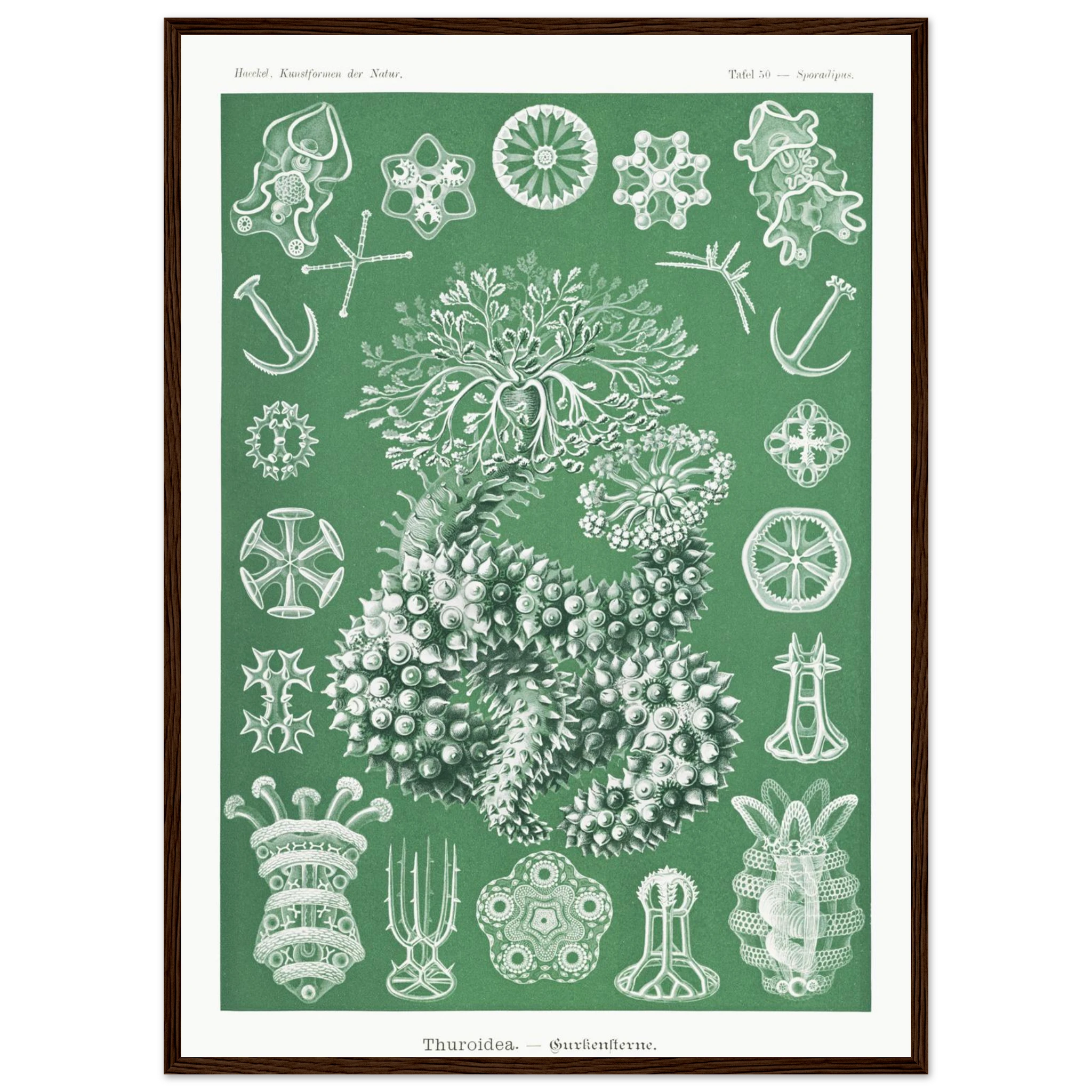 18a6f18a-0d32-467e-9667-81cc787386c1