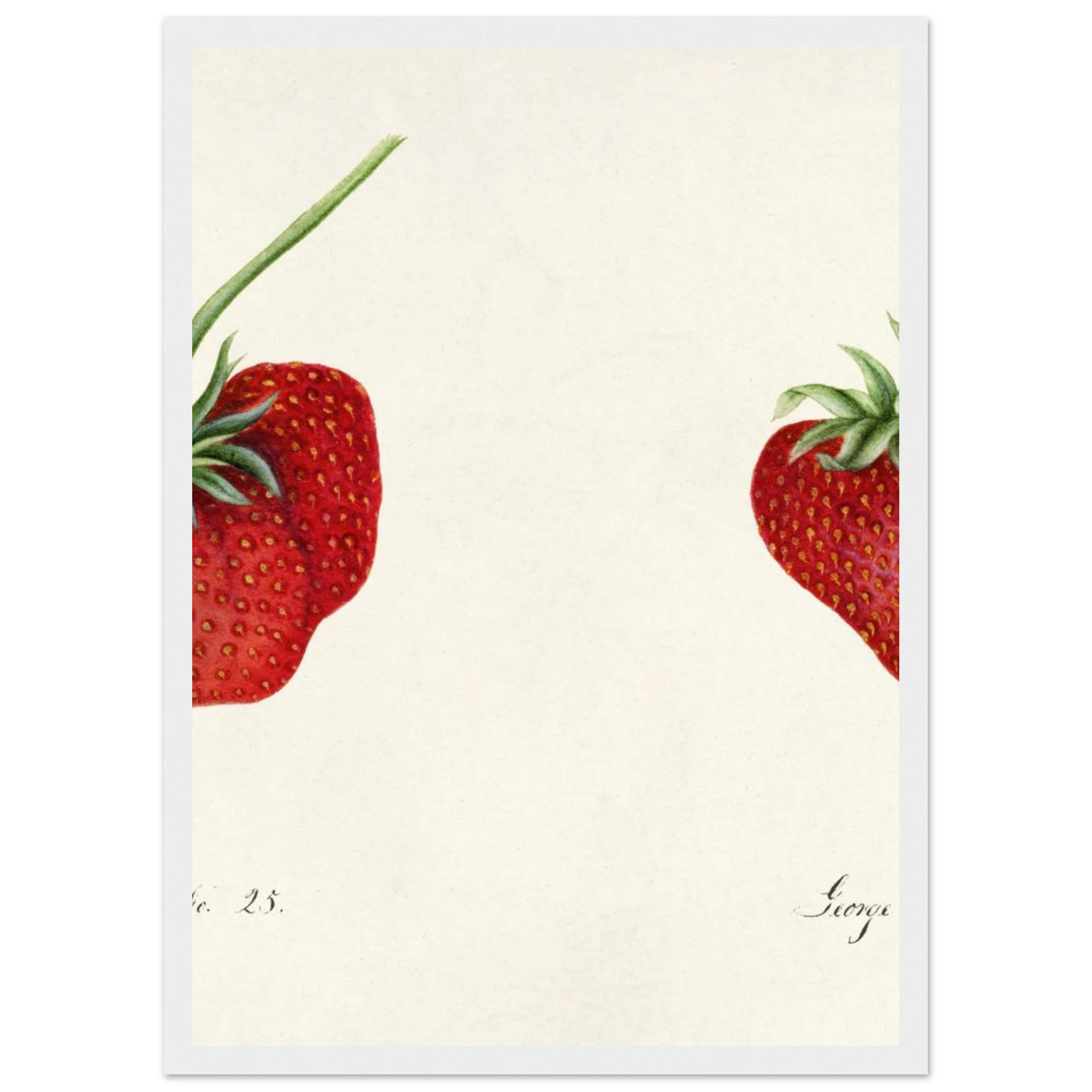 18cb14b9-3409-461b-8d7e-514bf4d63c2d