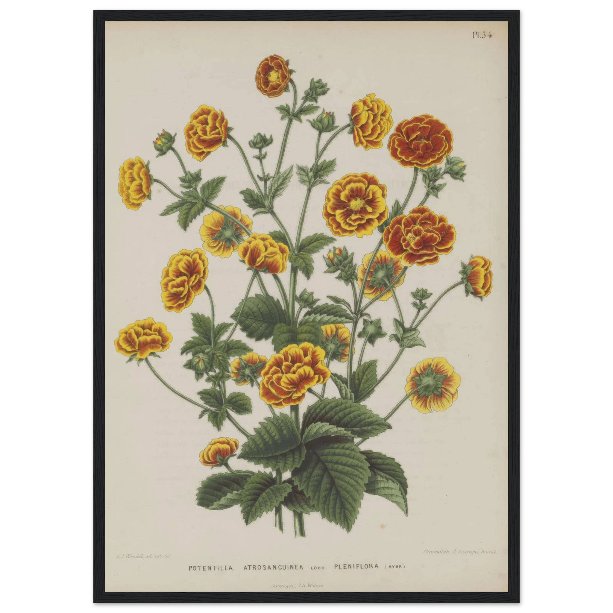 1909ff6c-324d-452a-8a99-1514786fadf1