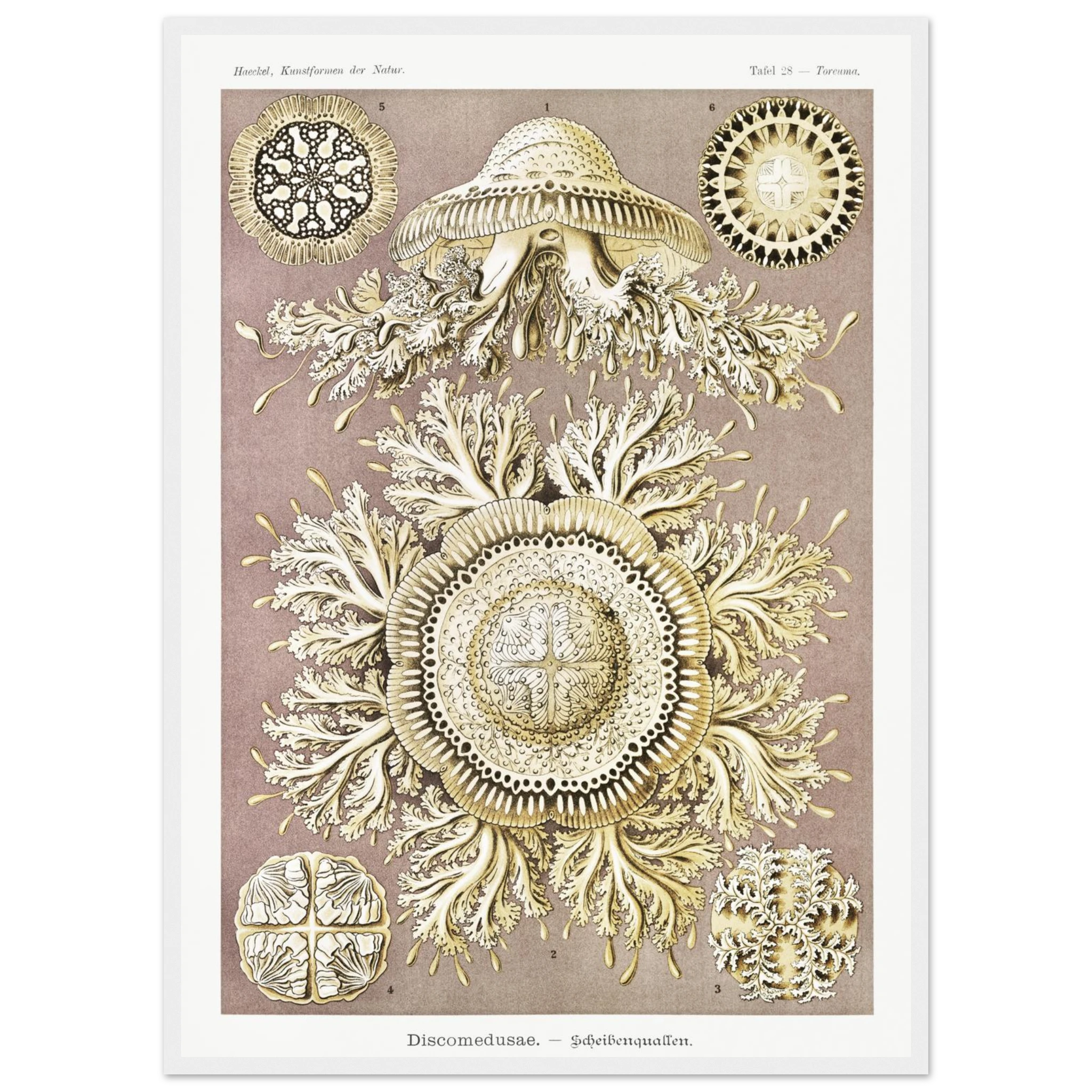 190c0b53-67e3-45de-a6c4-fe3992c71116