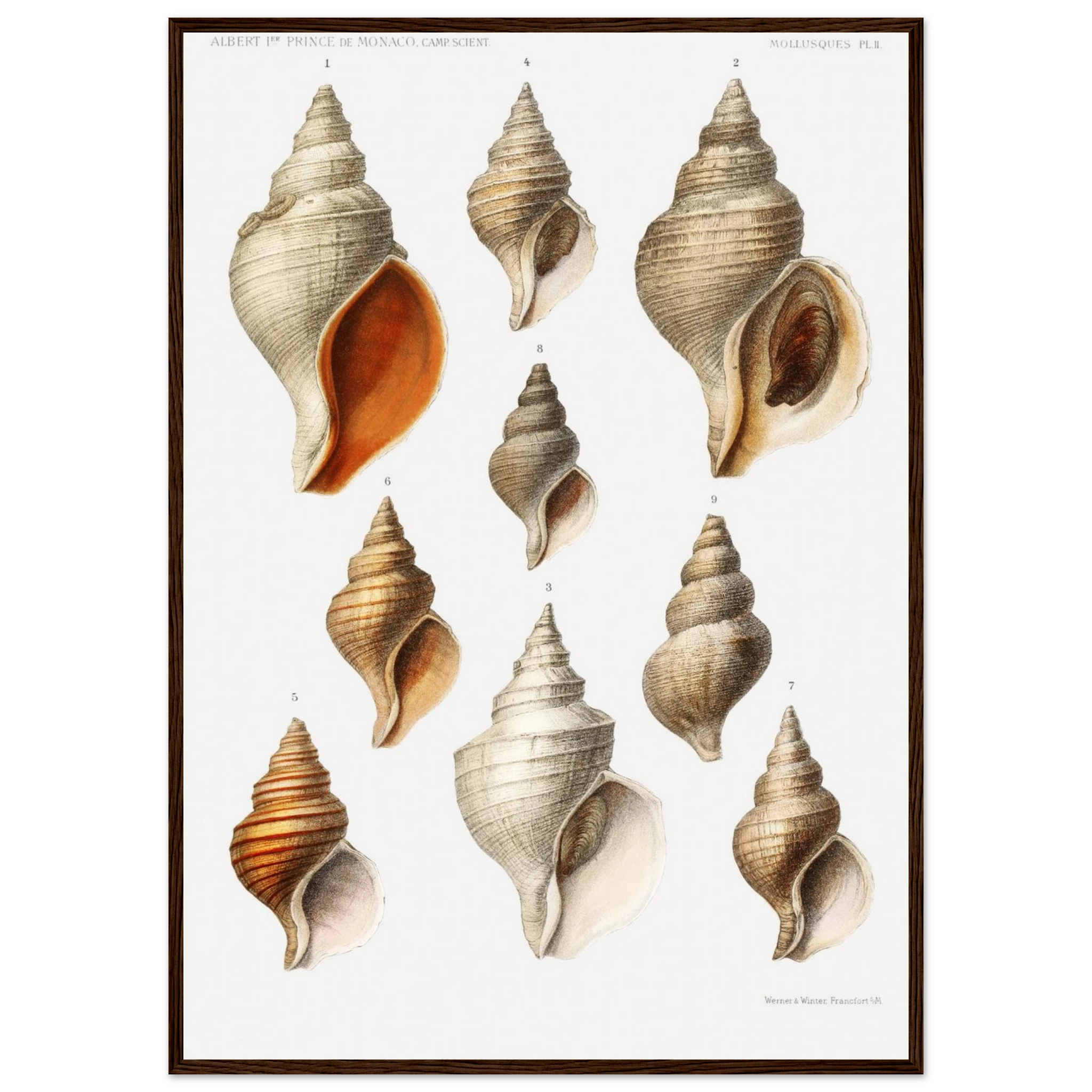 19417bb6-5621-4d97-88a2-2257bc7158ff