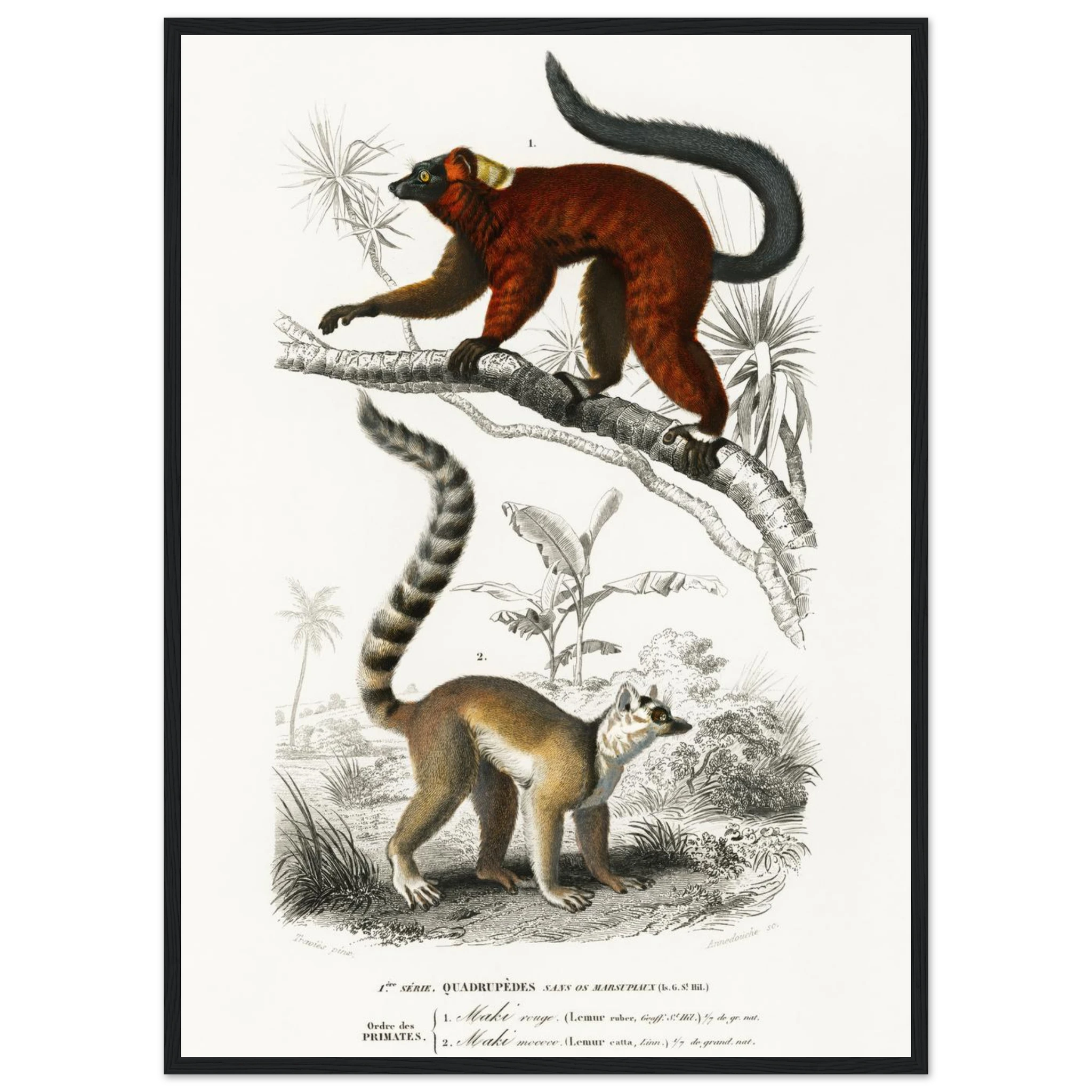 1951a6a4-b05d-4a49-a9cd-8b7272d75cbf