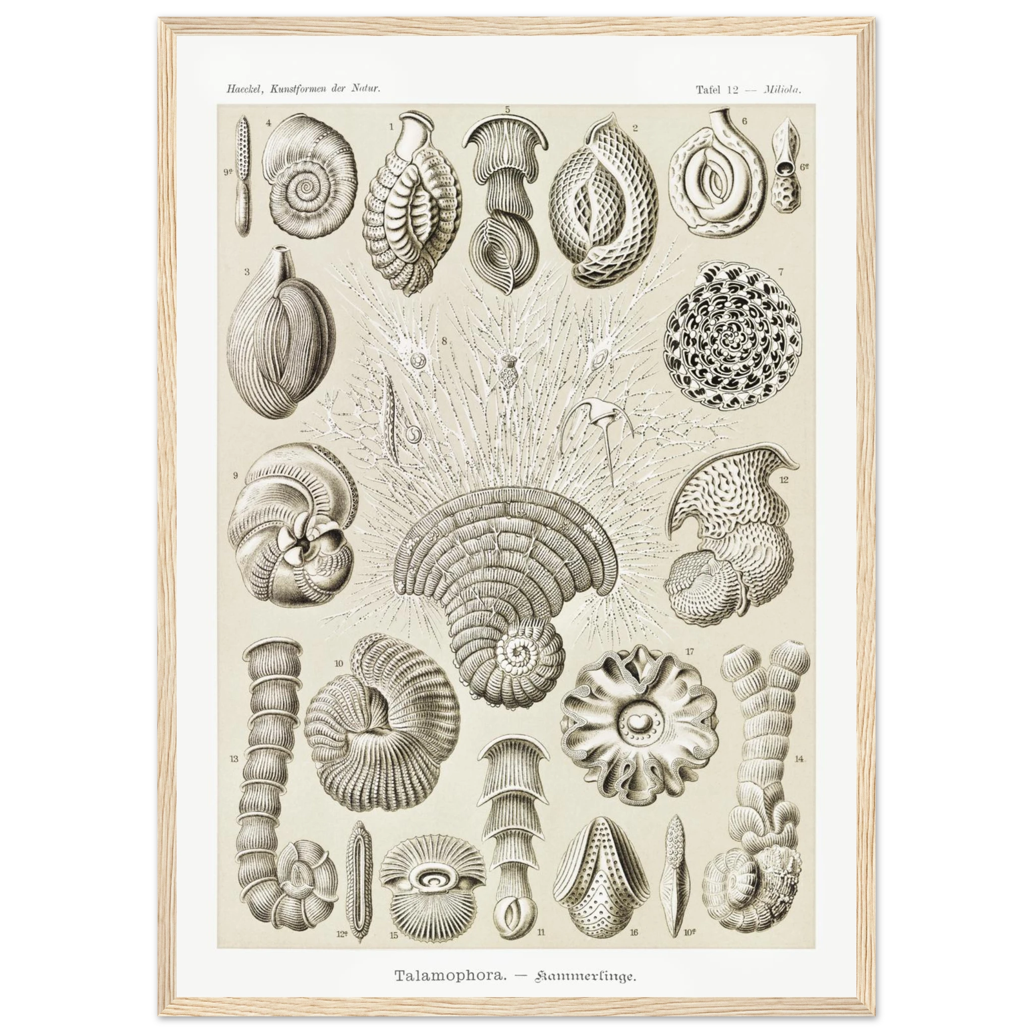 19c8517a-470d-4d3b-ad19-0228a4ac69a0