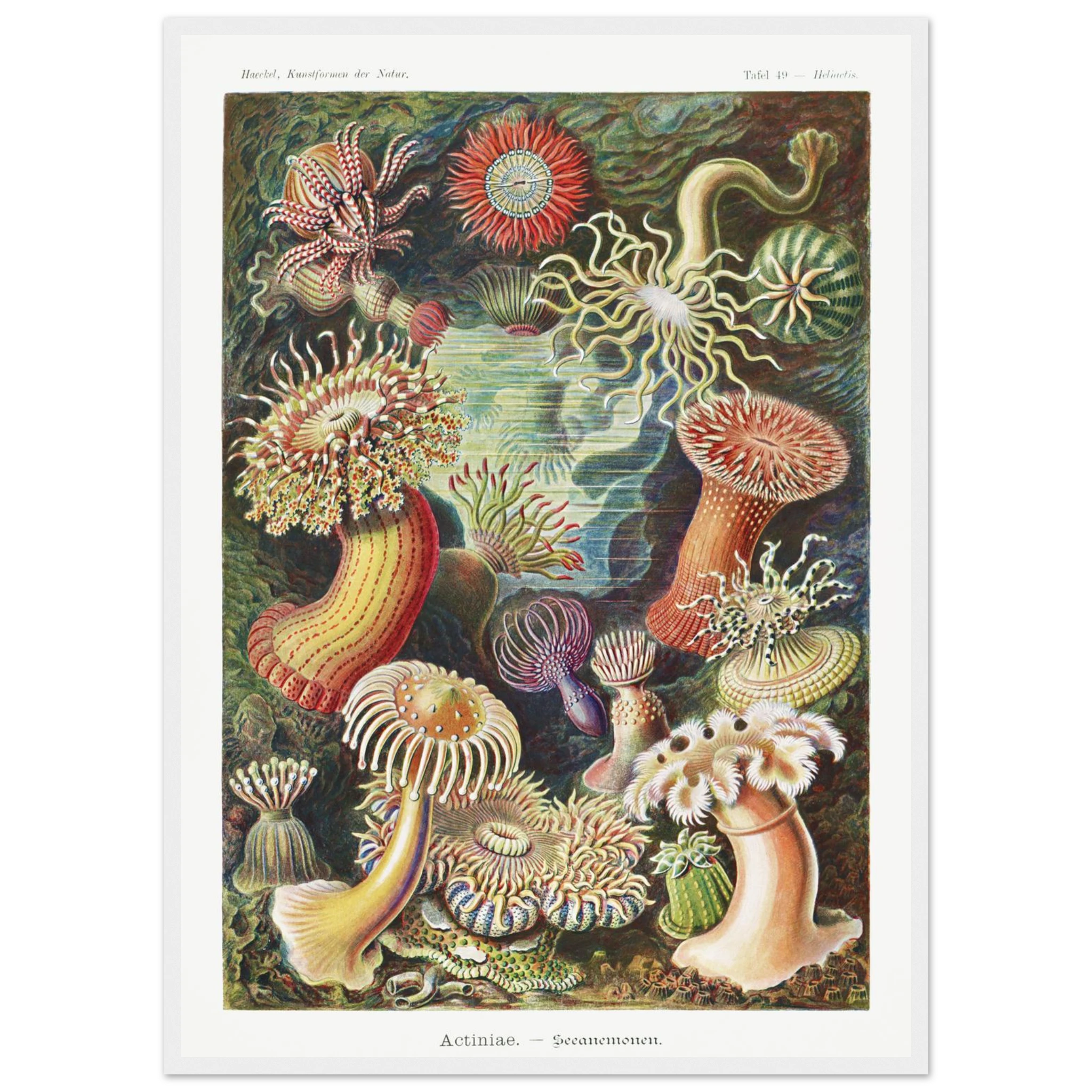 19e4fcb5-ab38-439b-a4c7-0a750f678182