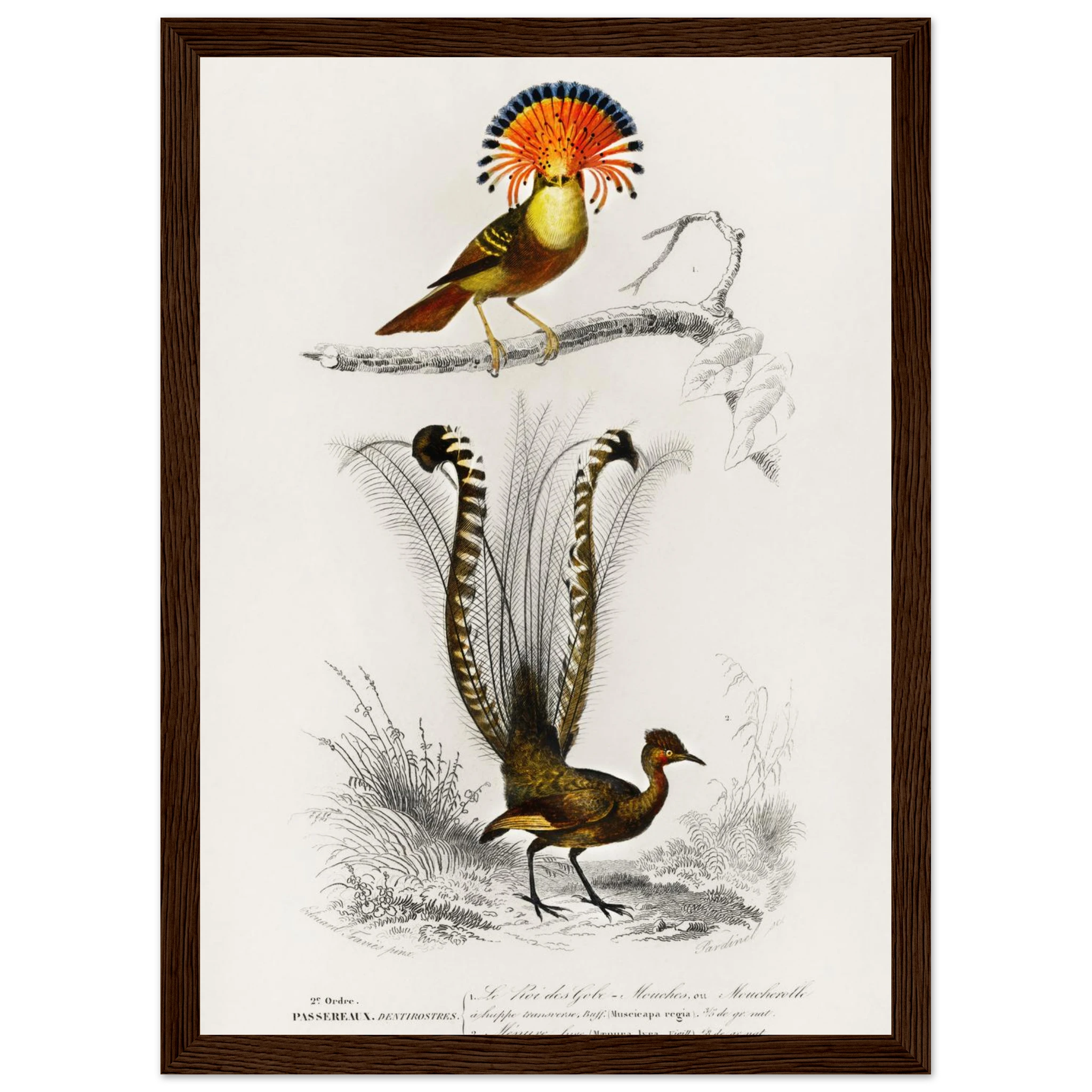 19f2e095-b31a-41e6-ac11-e2a32e064ebc