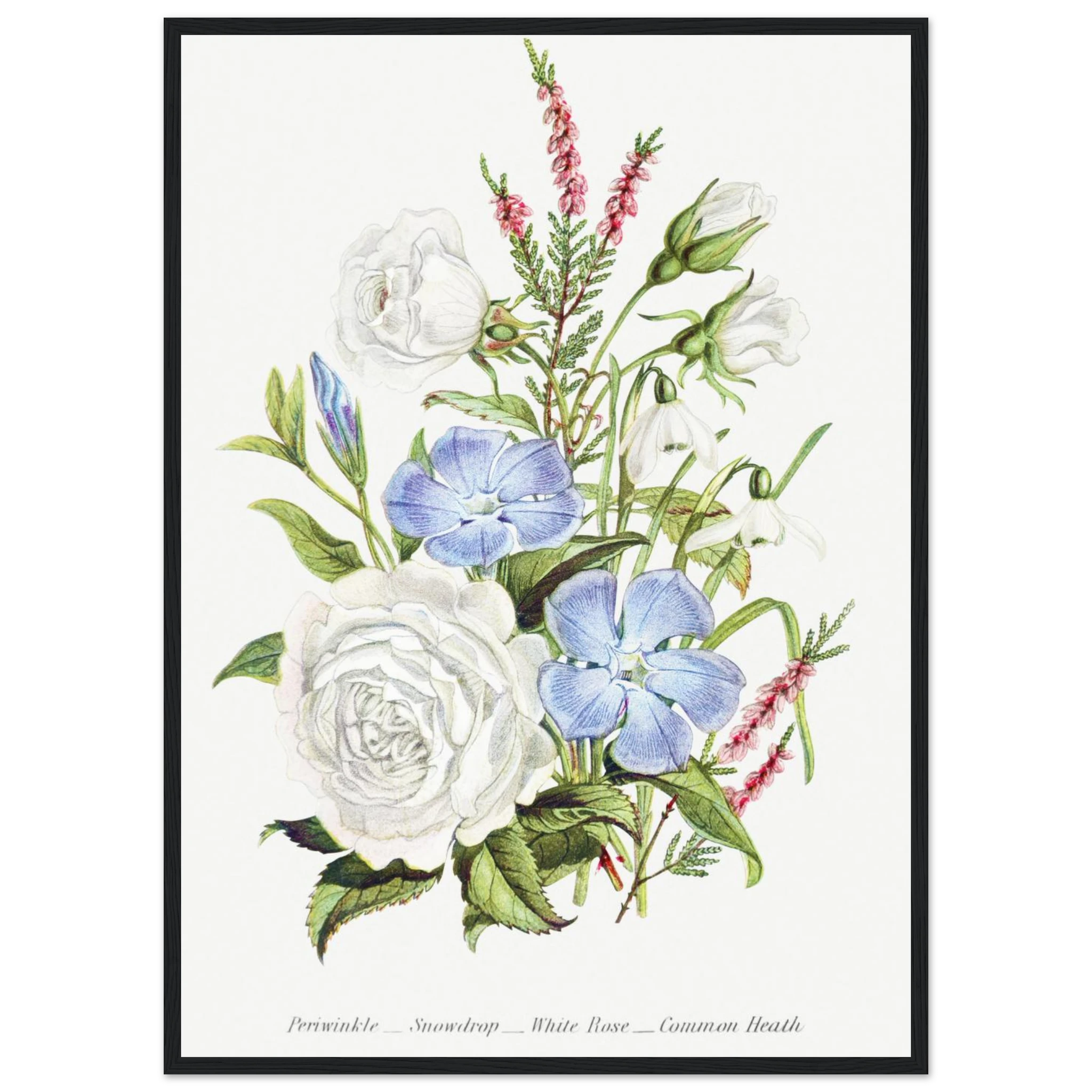 1a215750-b544-4c16-a696-f64426f31094