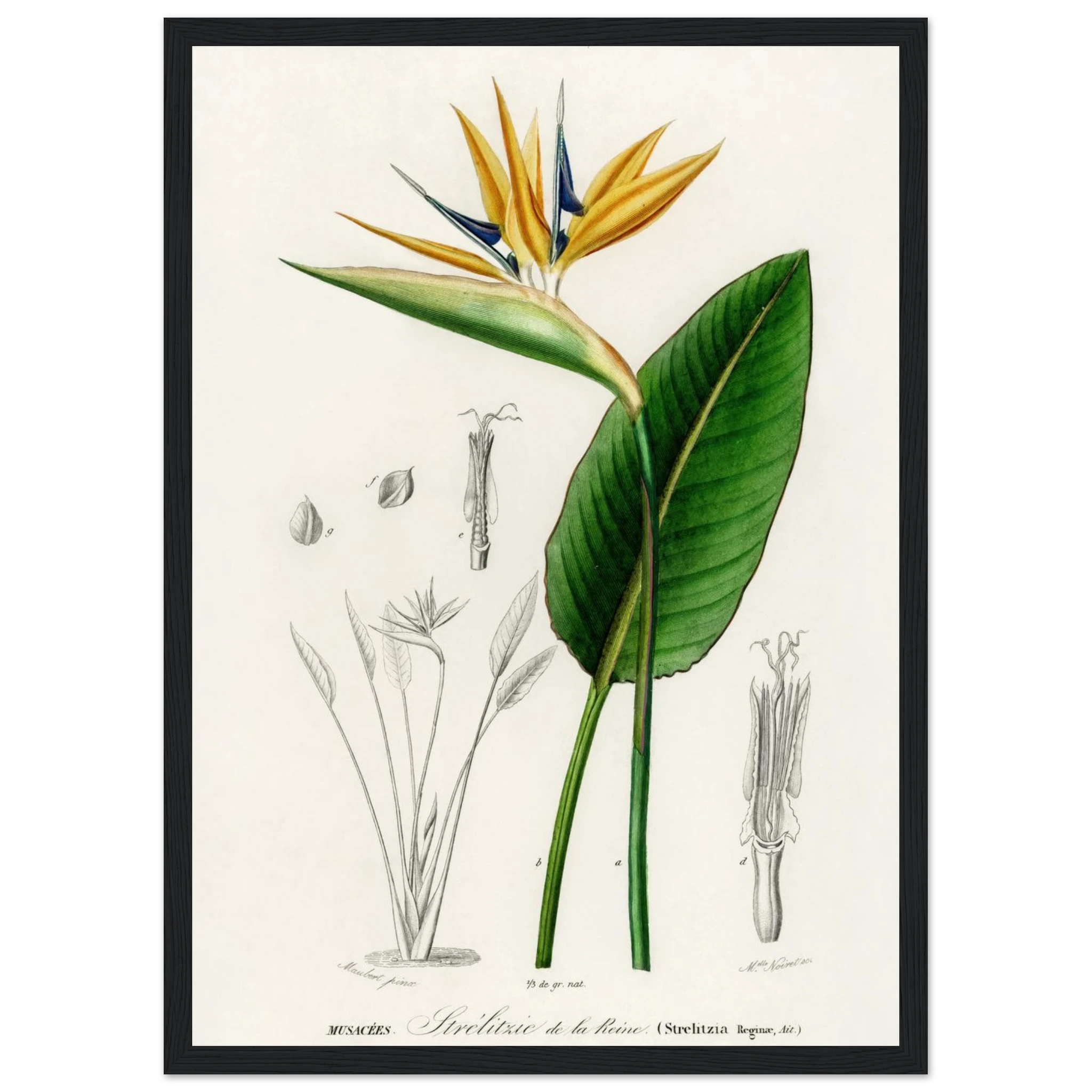 1a425e0b-e2d6-4a21-82b7-86912c6d751a