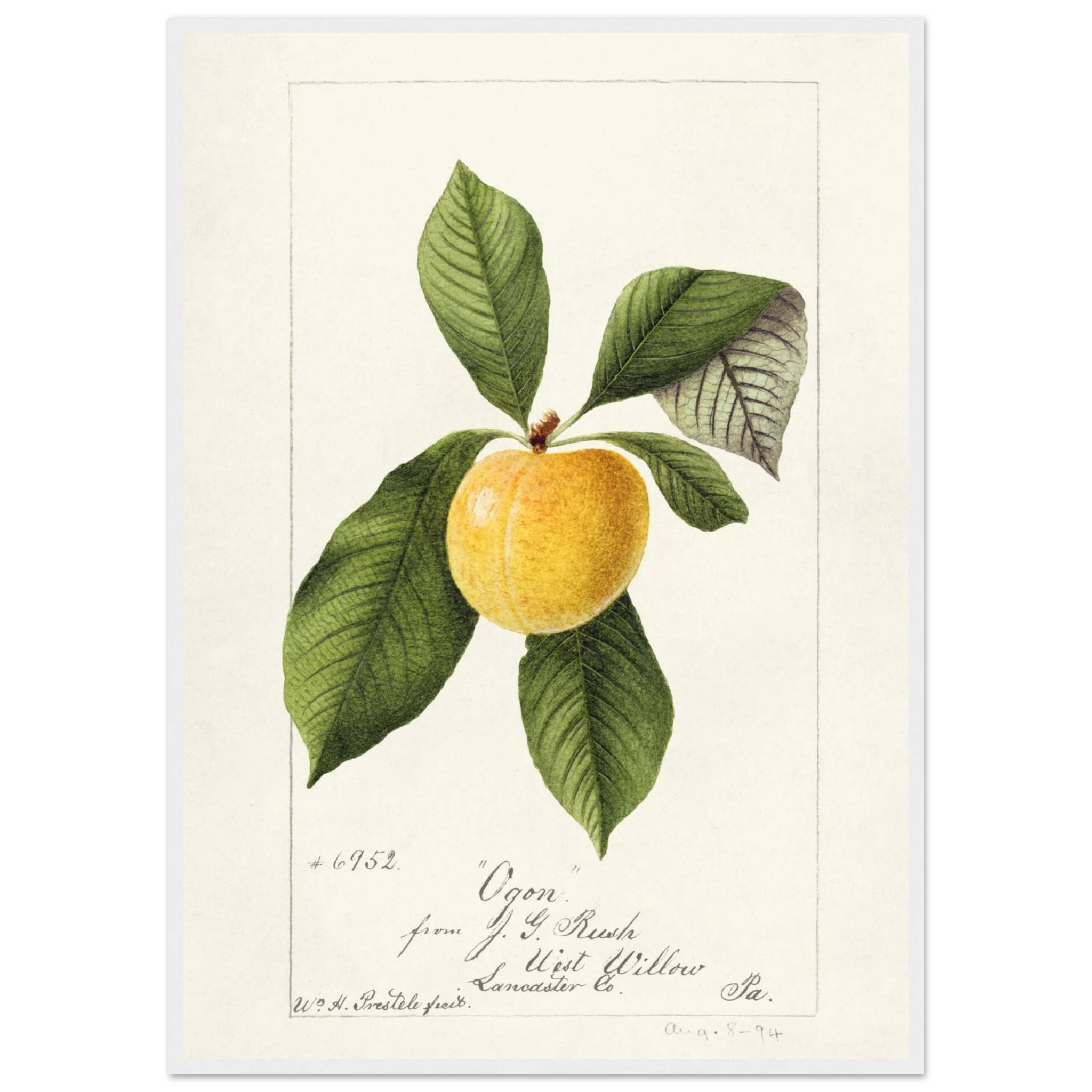 1a42dae4-64e3-430f-8e58-61350b48c4af