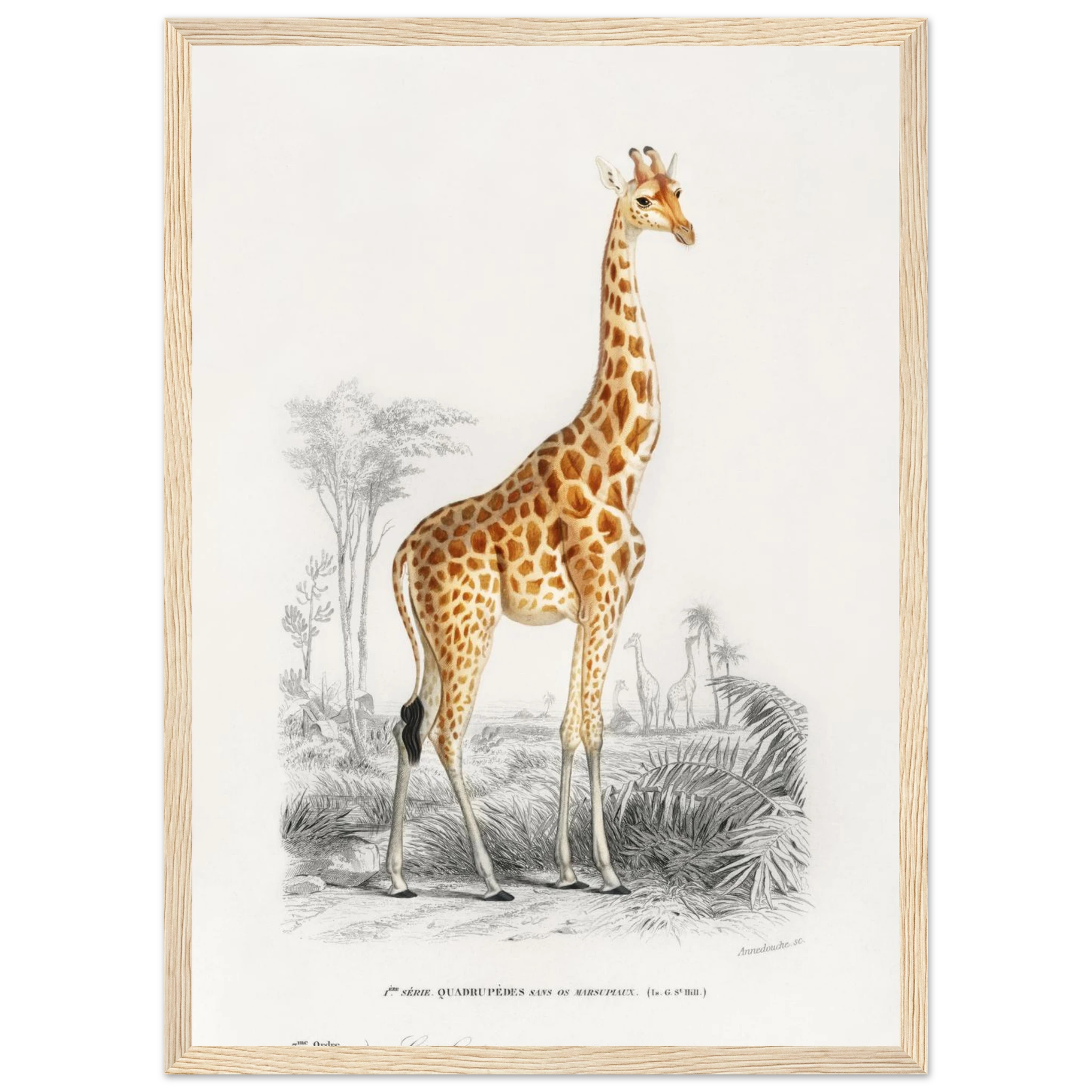 1a60f7e4-b446-4b01-80d4-dfb5c3634fcb