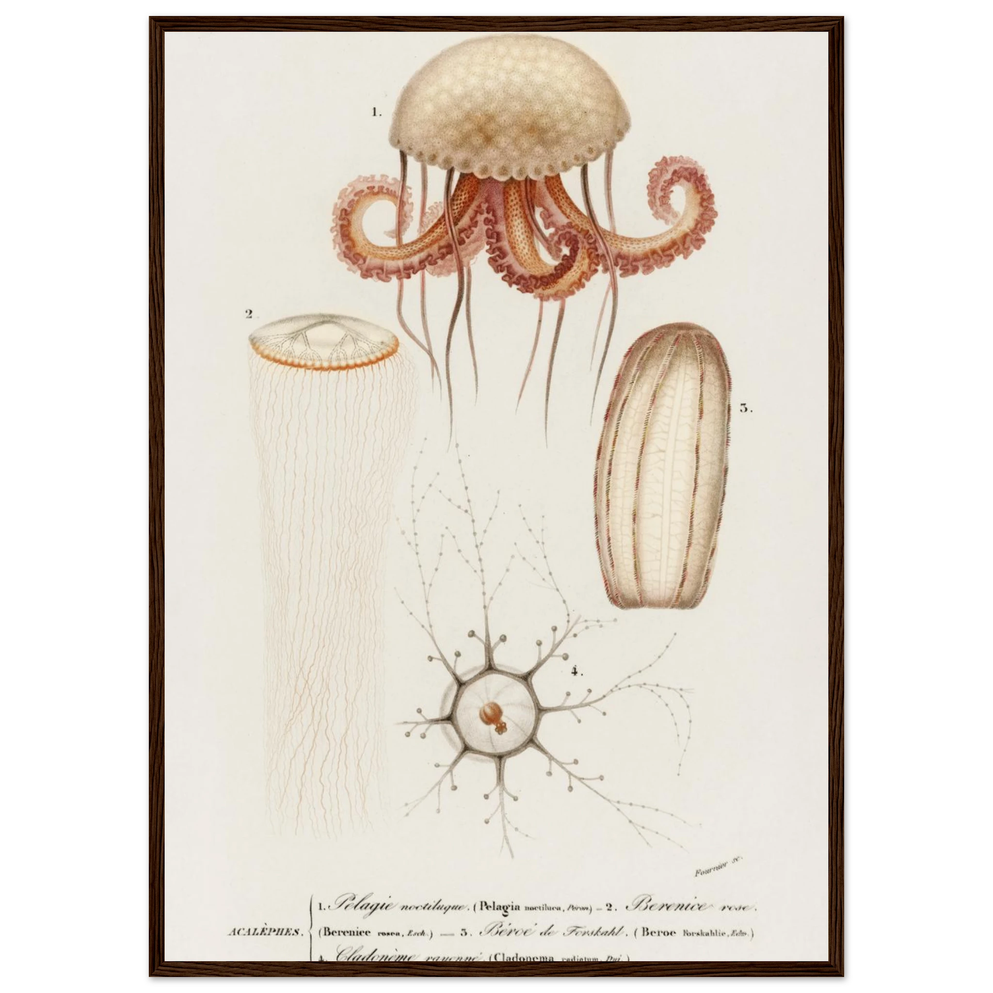 1a895dc0-74ed-4b28-b2e0-20b0ceecca52