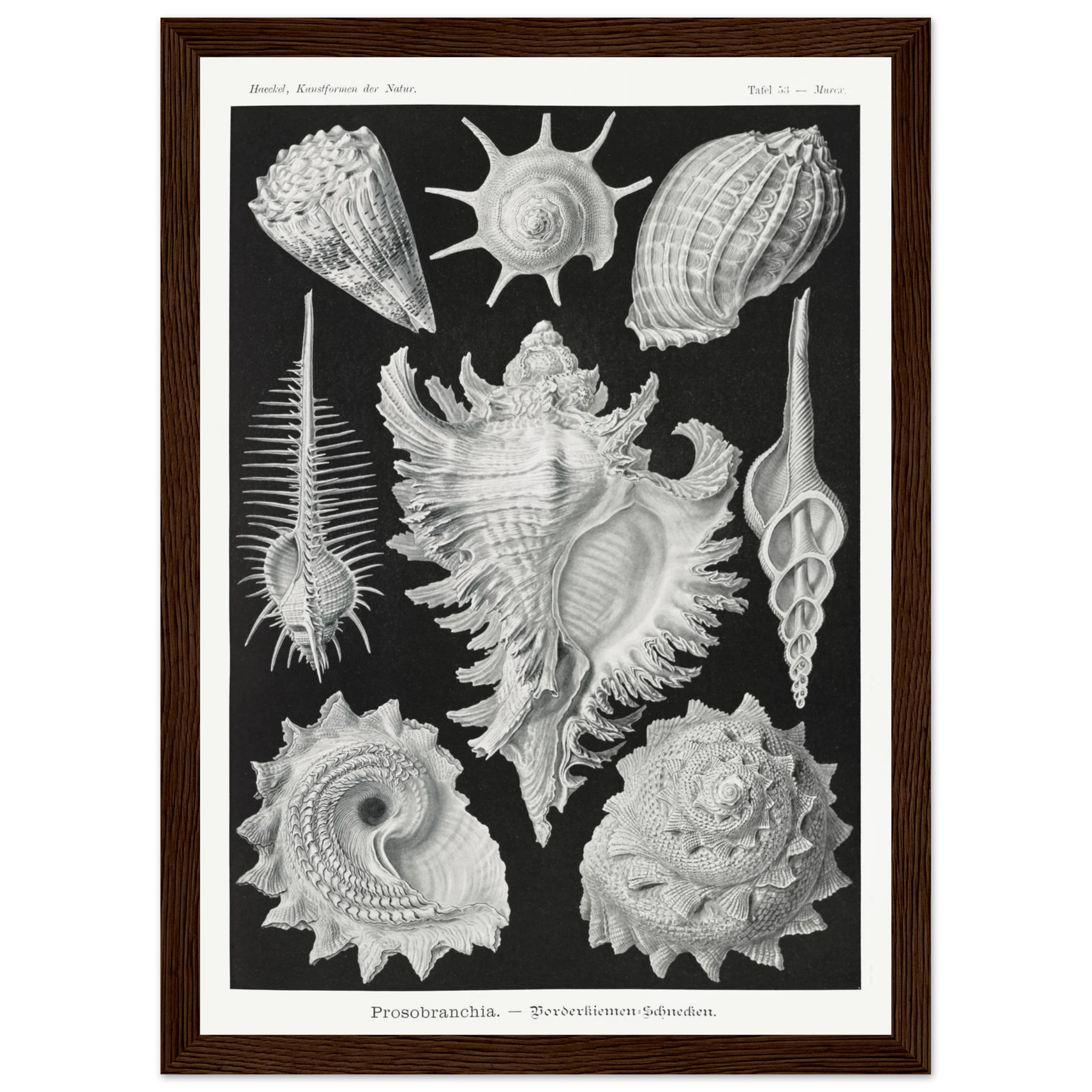 1acfa7a3-f06e-44d7-a5db-9b377a9edf0a