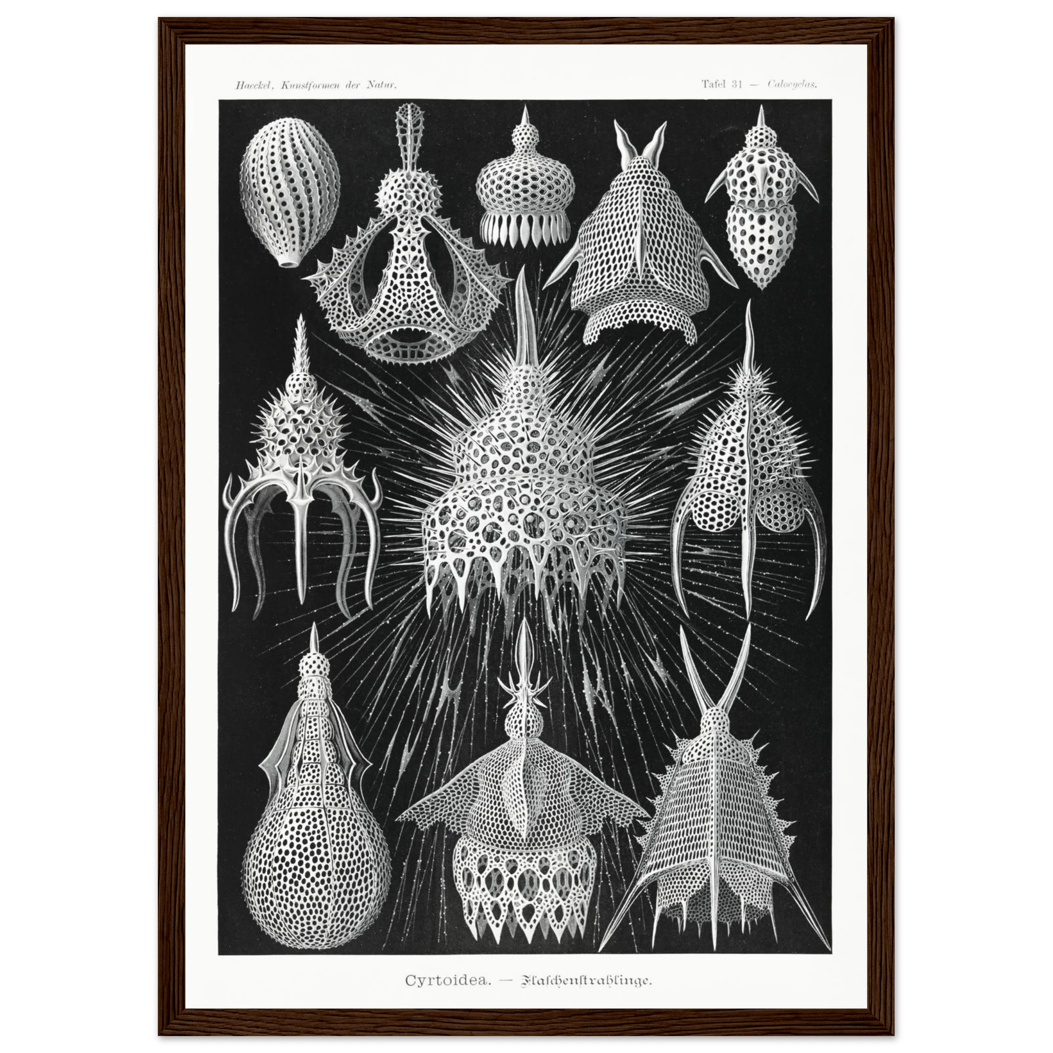 1b209df8-8c8e-400c-a4ba-45eb6d7226f9