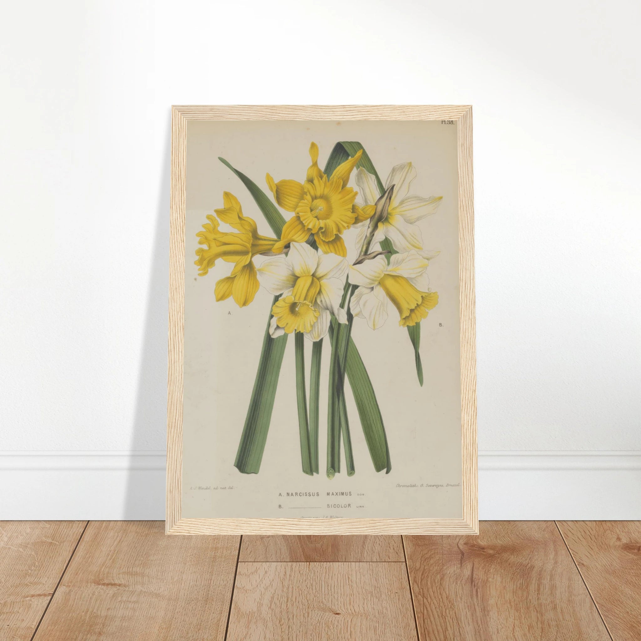 1b2f6c37-307b-4ddb-a958-77c023e09a2c