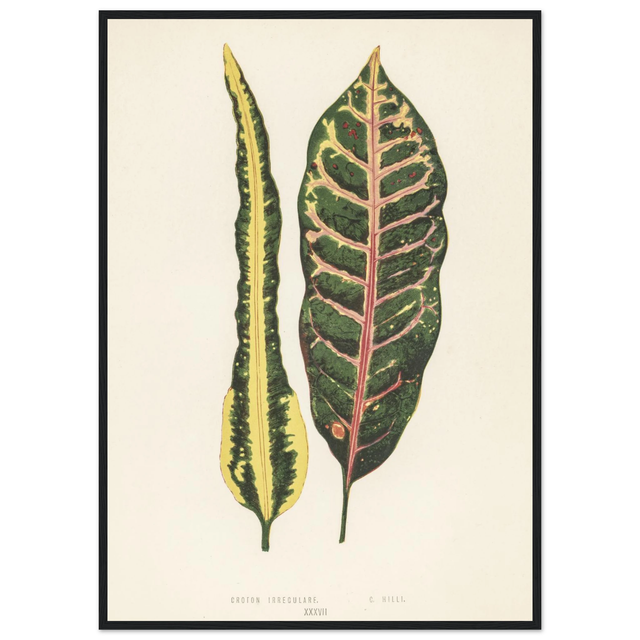 1b7deb04-22e5-4e07-a9ab-adf720c466a1