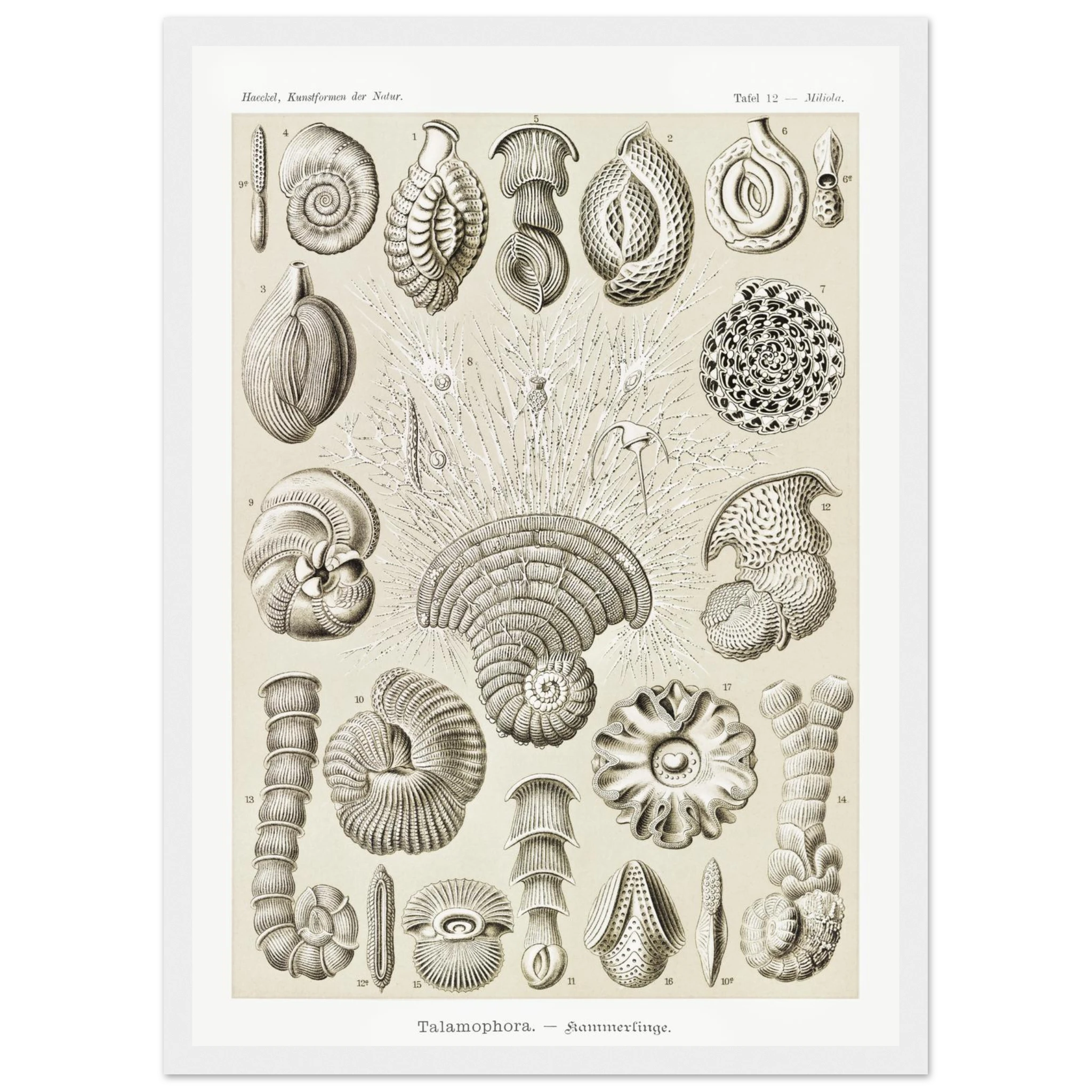 1bbc71ca-95e9-4489-b26b-fdef92f3f76b